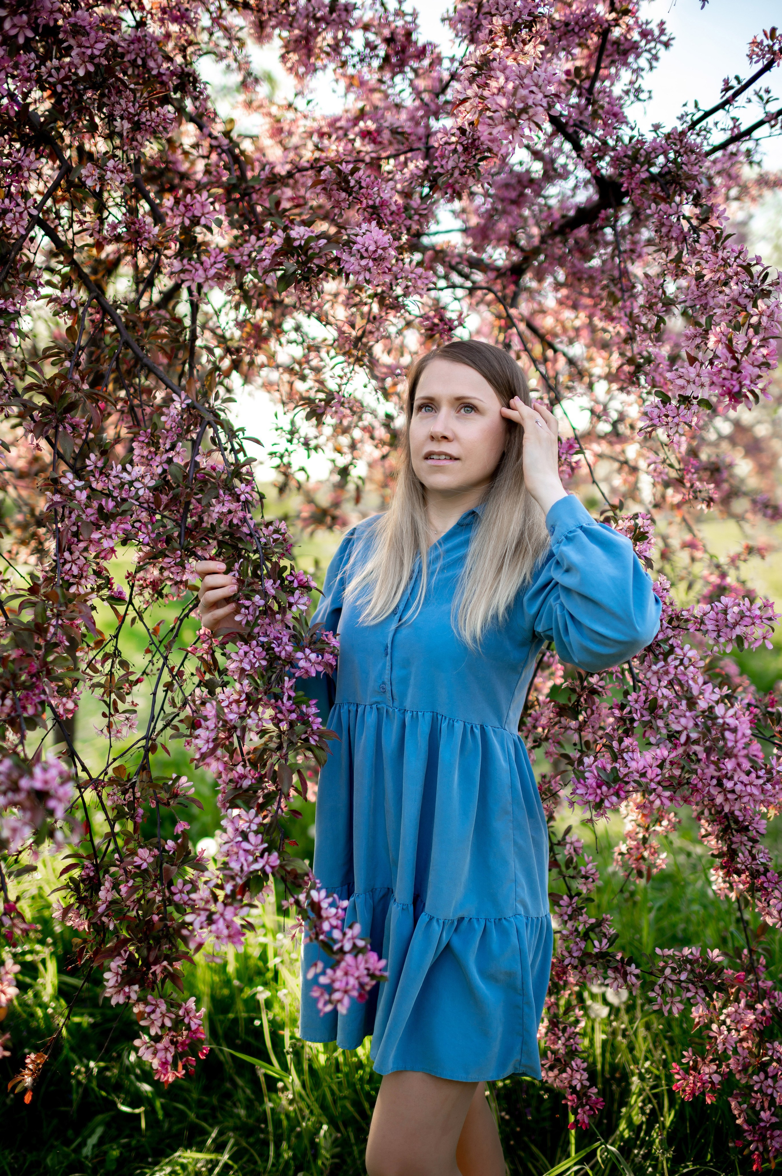 Ника и родители в розовых яблонях. Портретный, семейный и свадебный фотограф в Санкт-Петербурге и в Пушкине Ширяев Денис