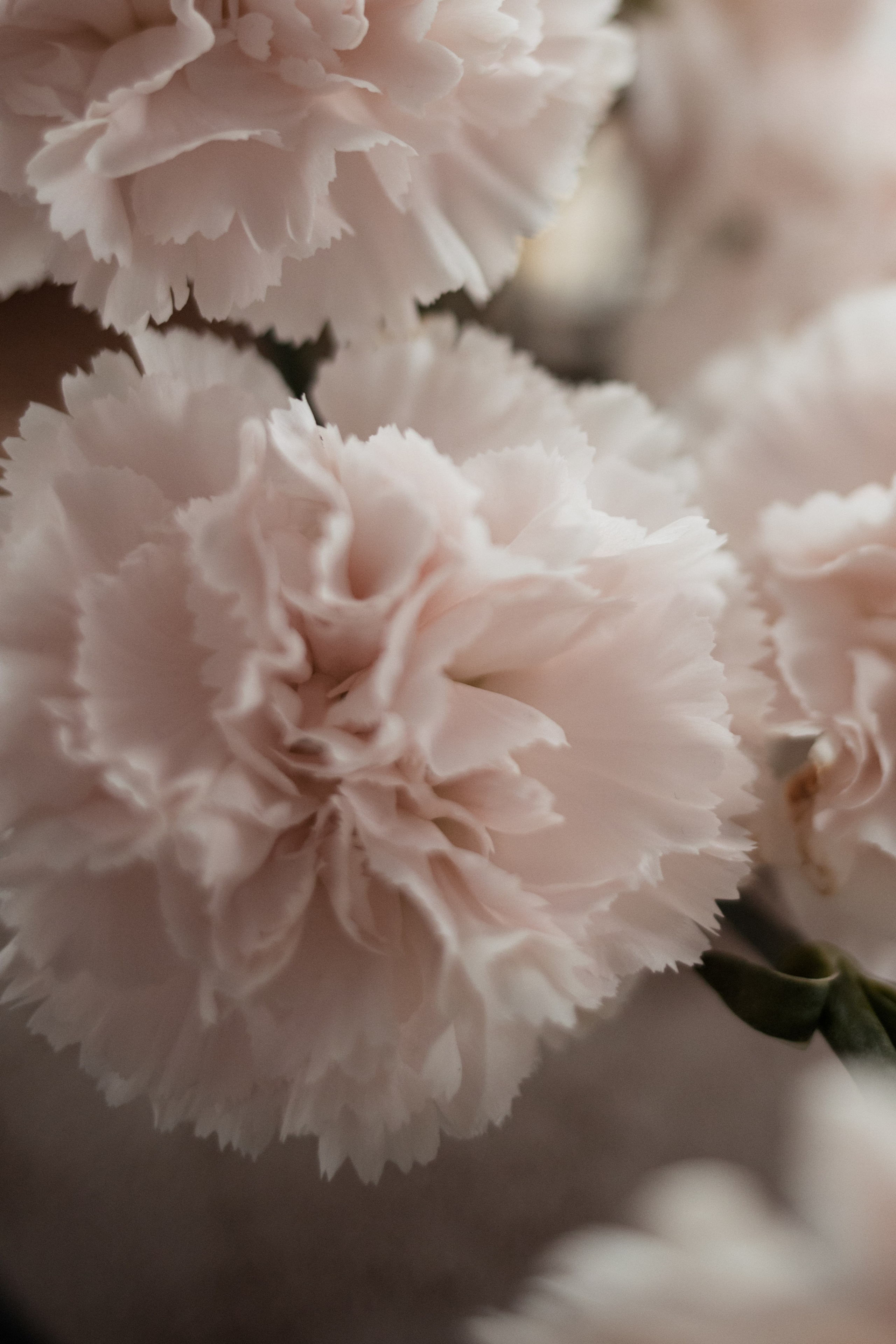 Ксения и Влад. Семейный и свадебный фотограф в Крыму и в Севастополе Сазонова Эля