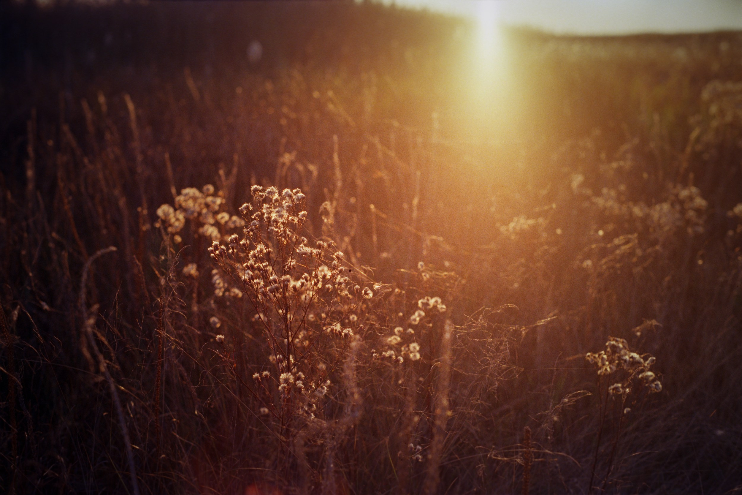 Street-photo города Новосибирск. Портретный и репортажный фотограф. Мыльников Илья