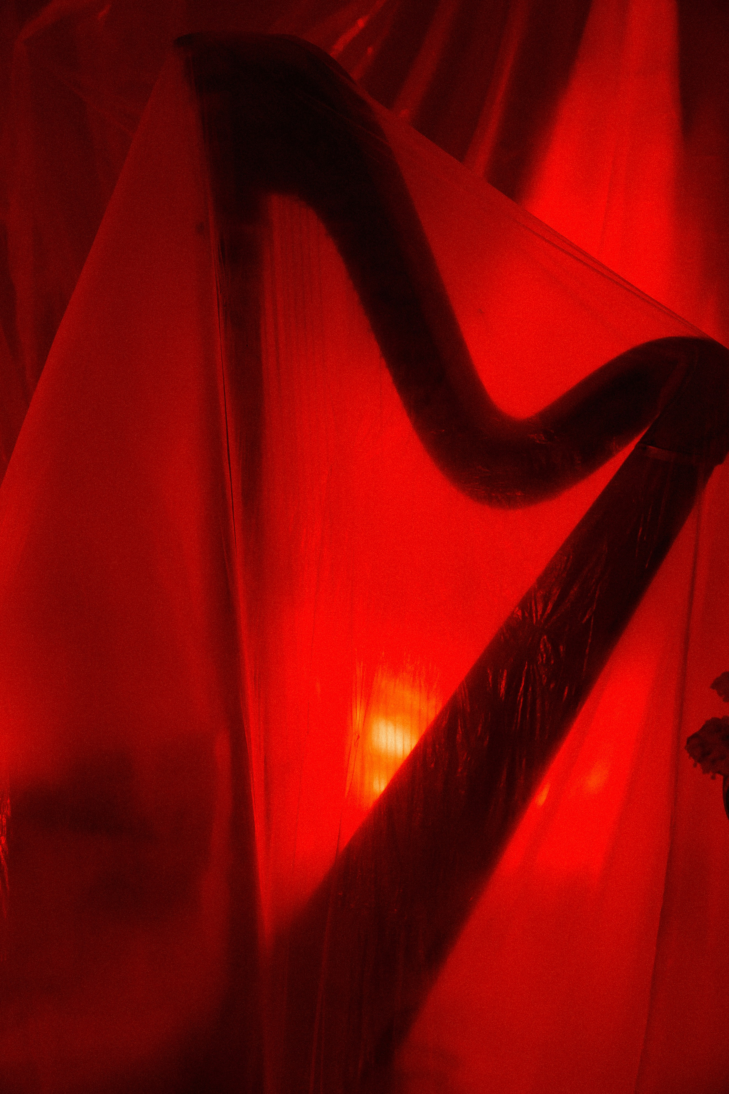 THE 34th BALL. Свадебный фотограф в Москве Николай Болт