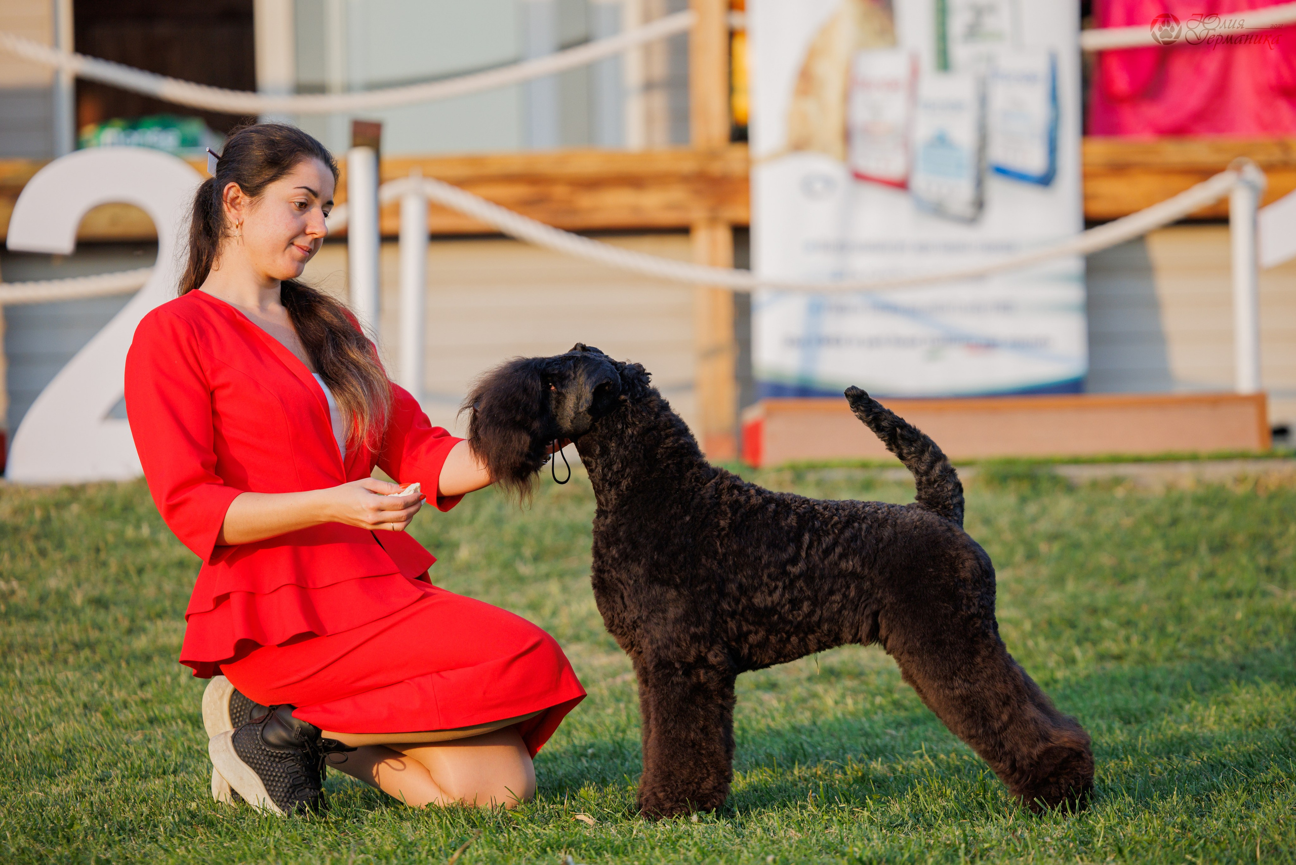 Армения,Ереван 3хCACIB 15-17.10.2024. Фотограф-анималист Юлия Германика