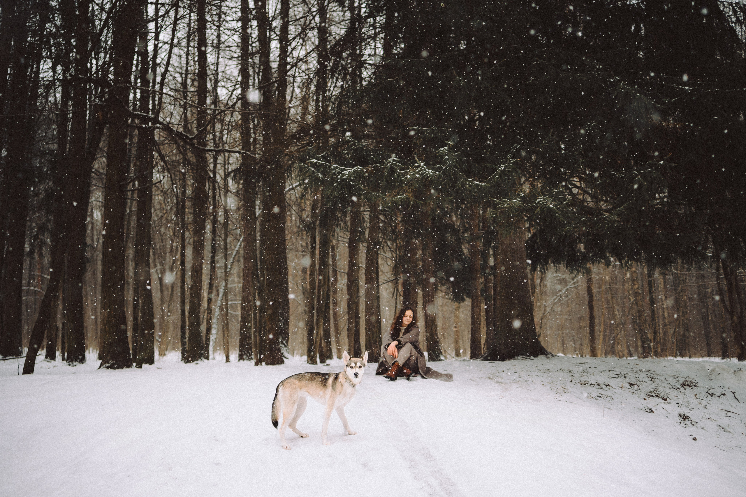 Аня и Рокси