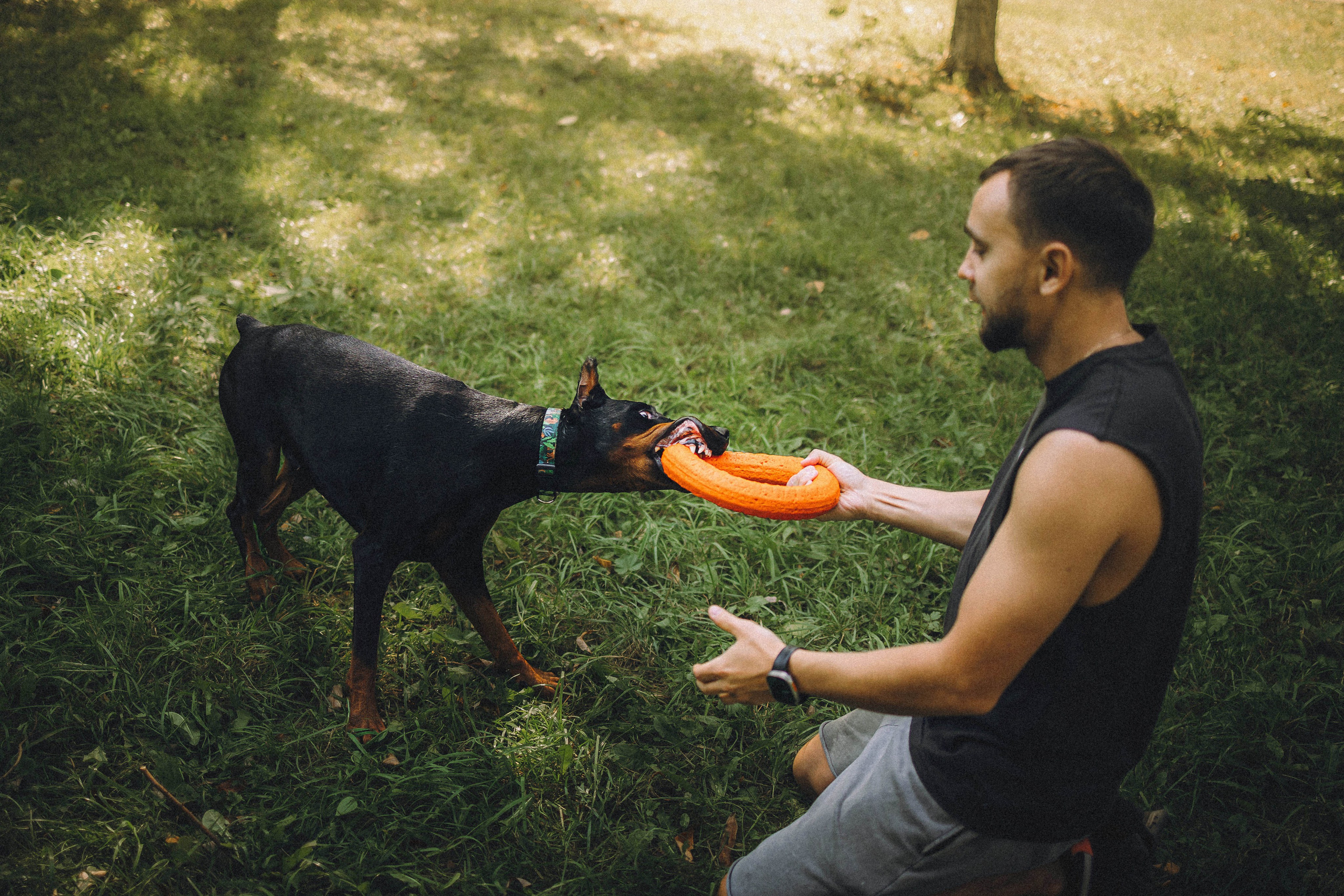 Паша и Хайди