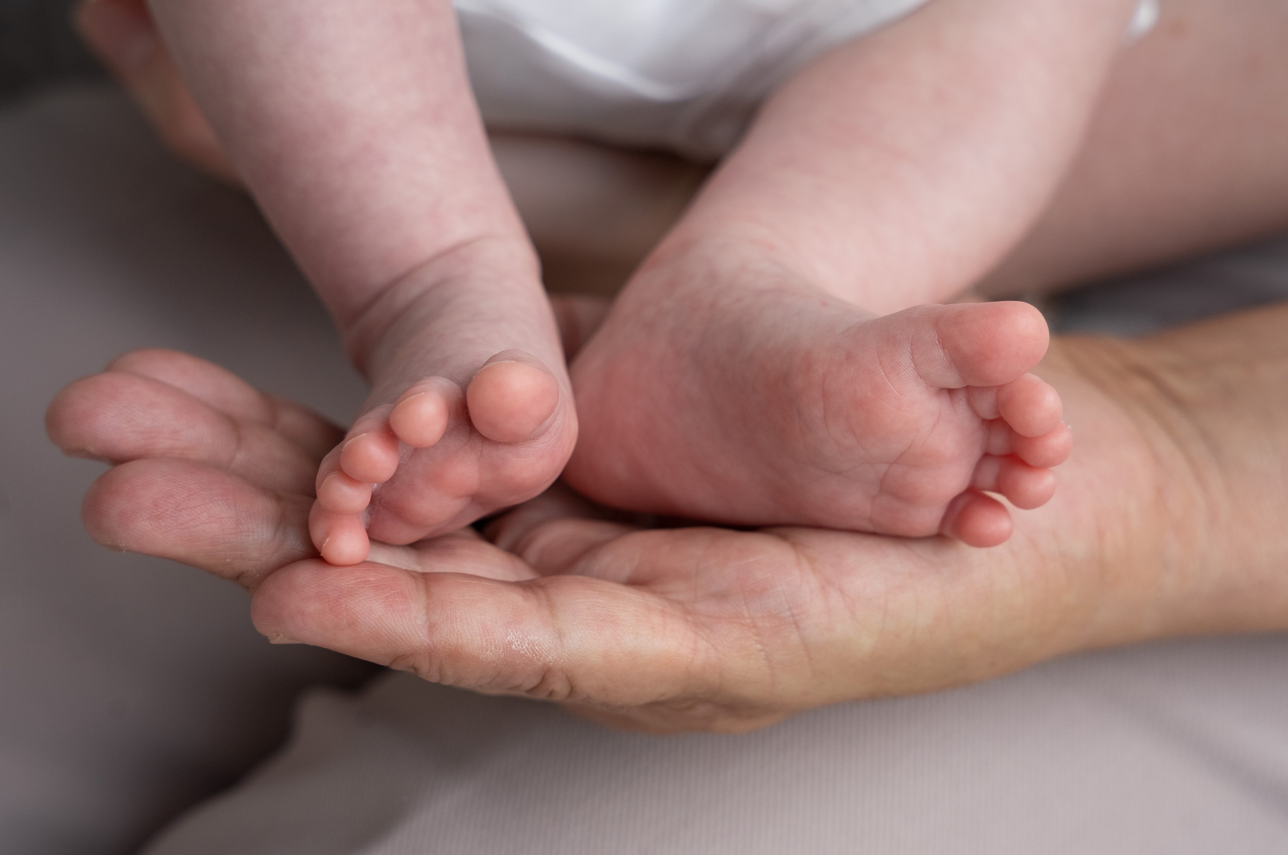 Юлия. Студийный и портретный фотограф в САНКТ-ПЕТЕРБУРГЕИрина Махаон