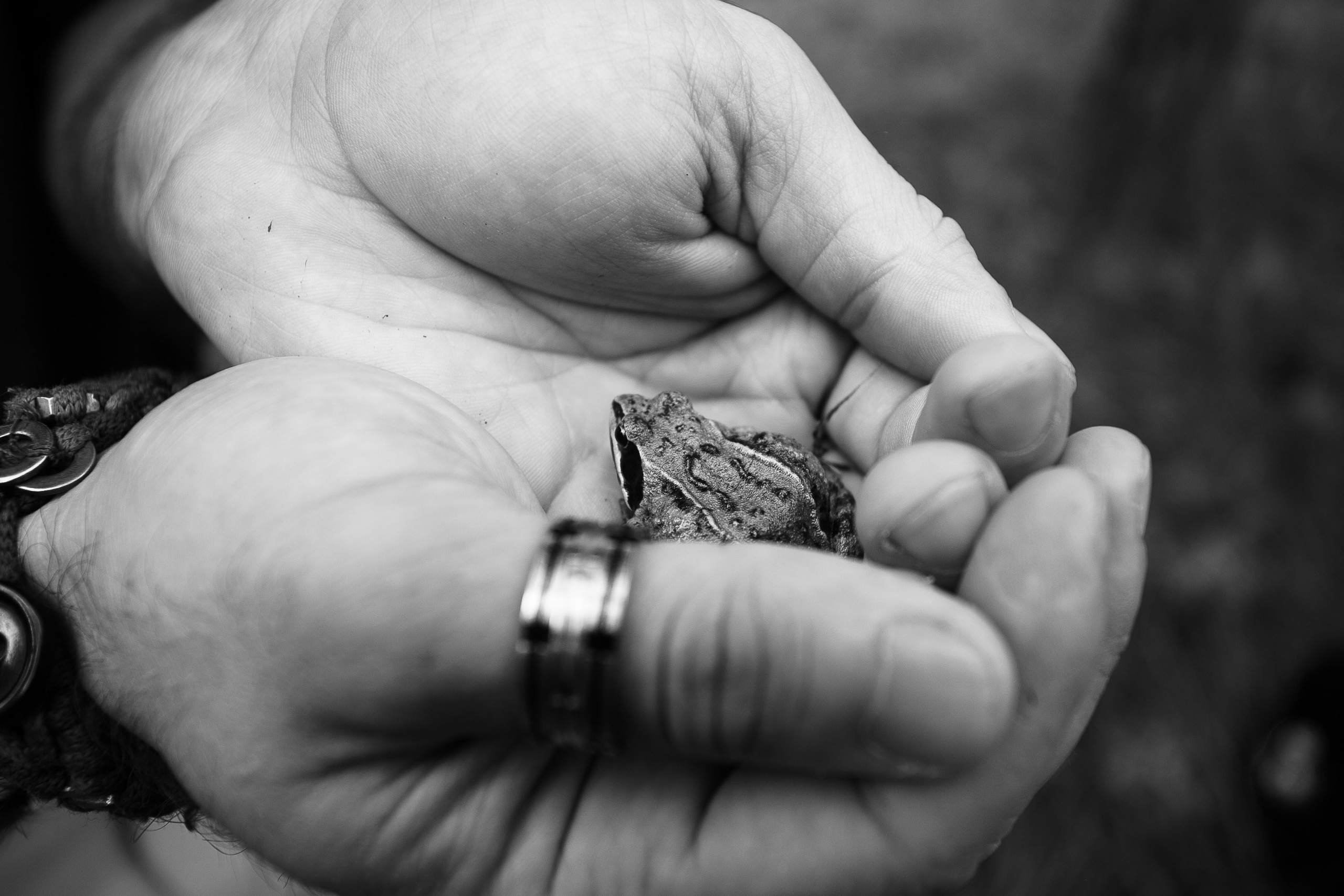 Лесной троль. Фотограф Дарья Локотко в Красноярске
