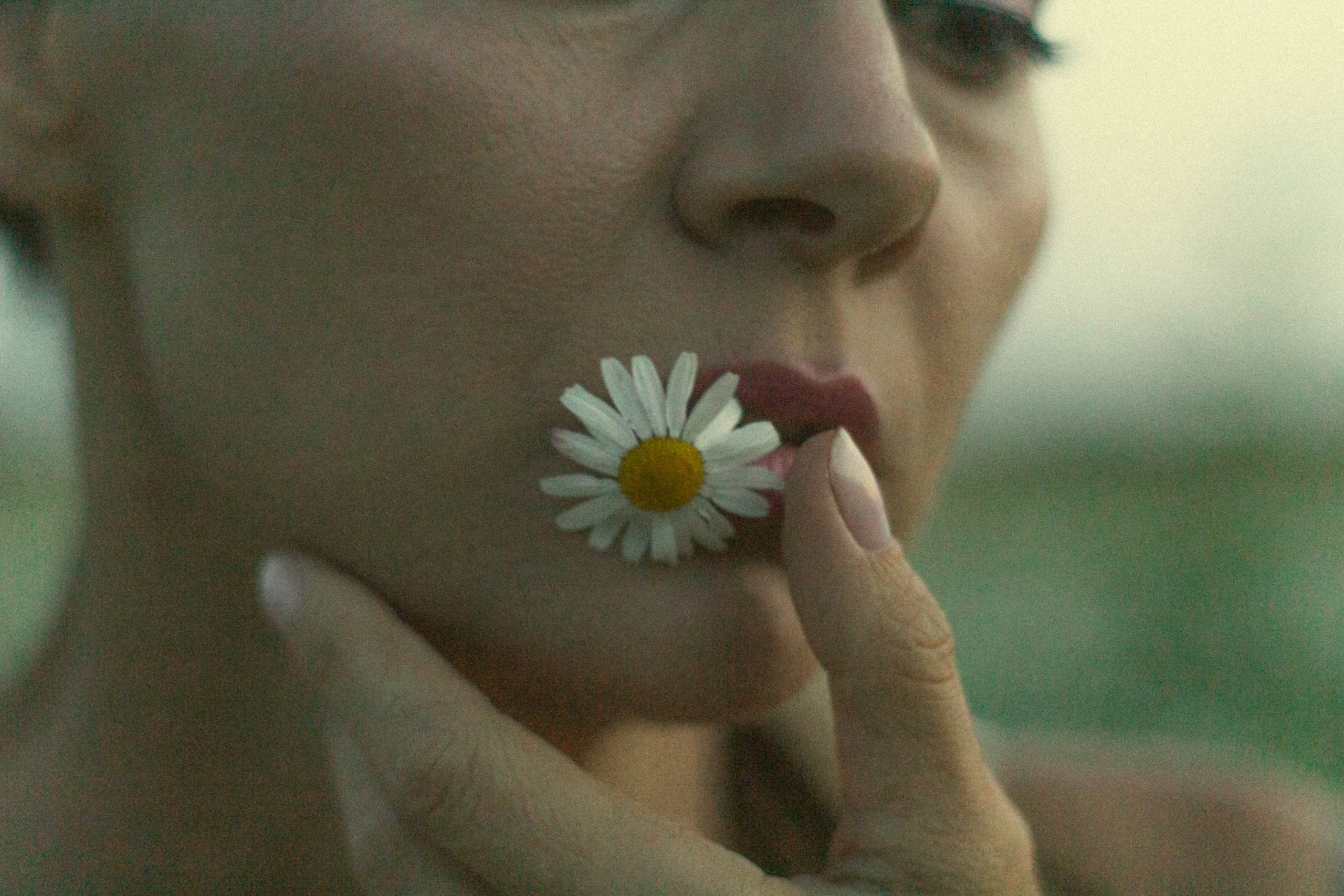 Портфолио. She-iren.wfolio.pro