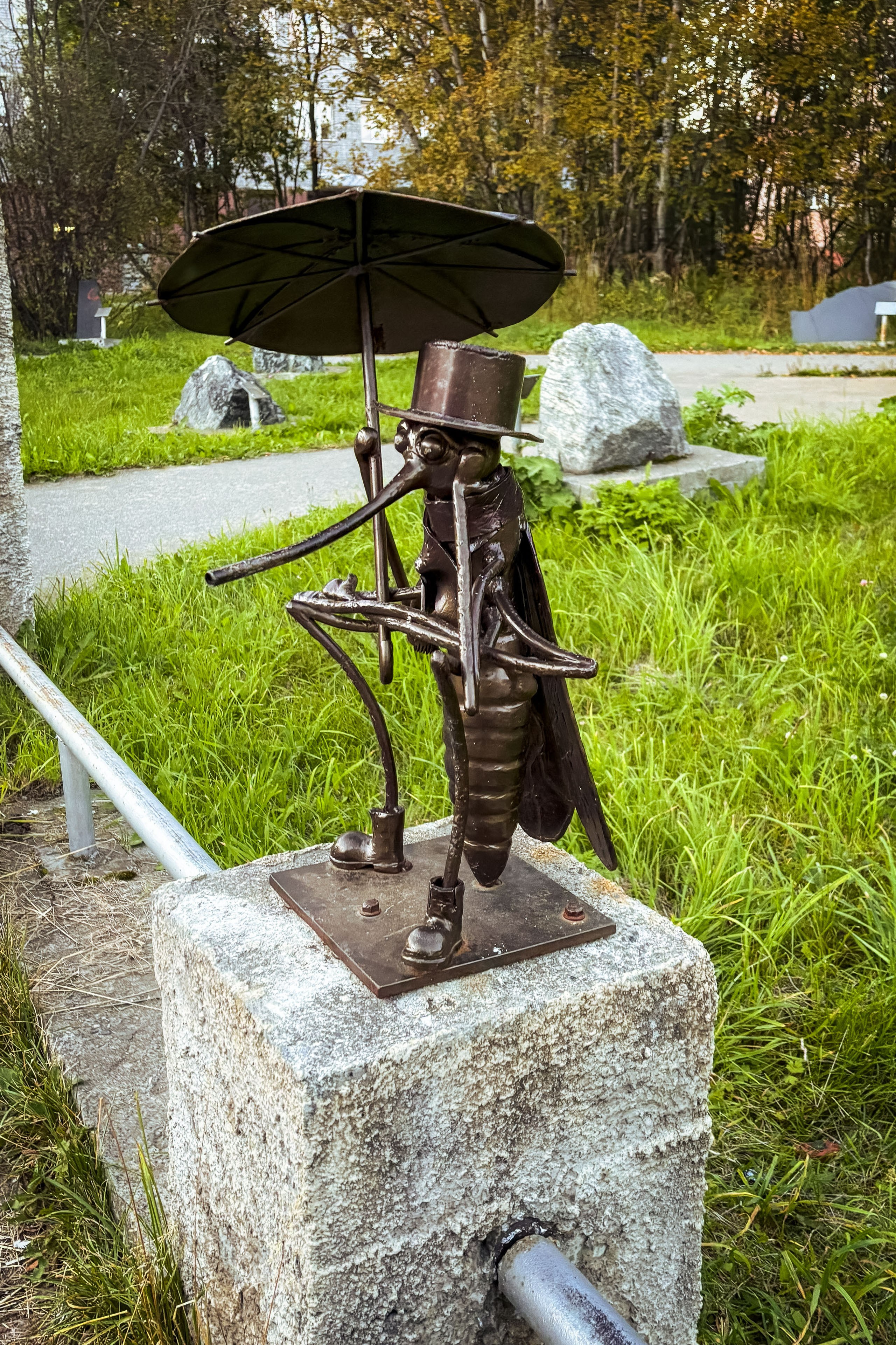 Кольский (осень 2025). Фотограф Виноградов Константин