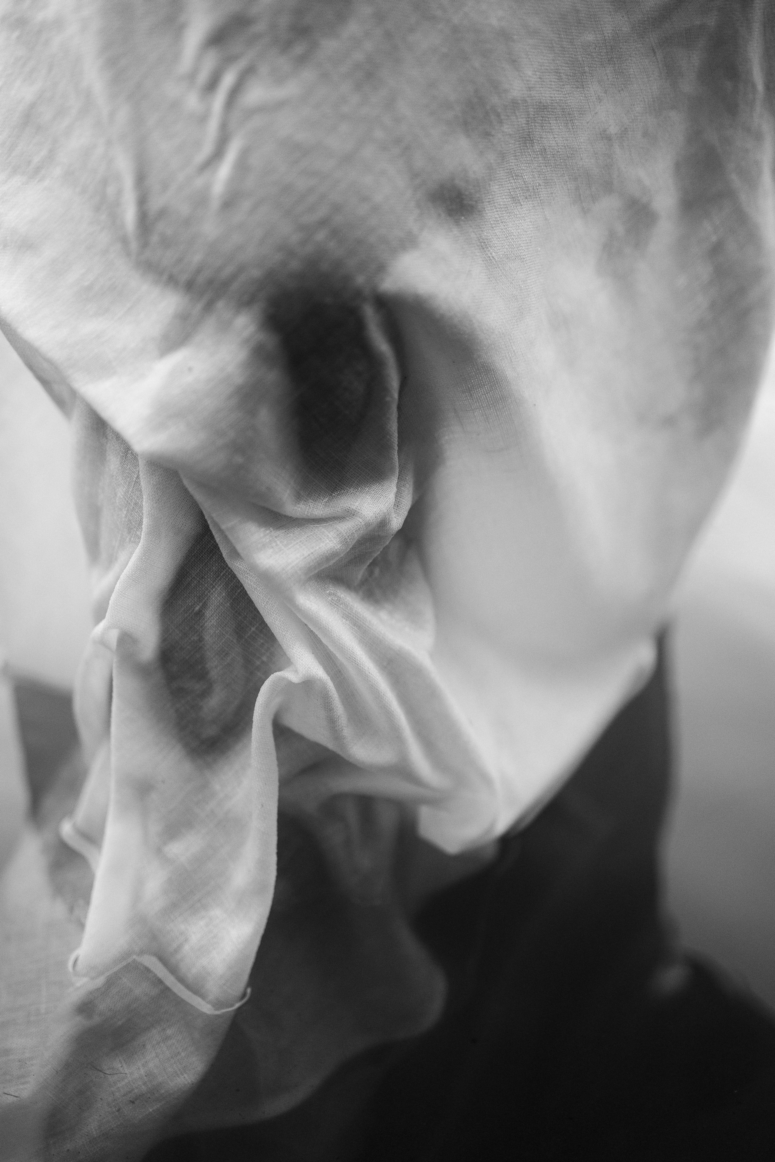 Катя. Свадебный и семейный фотограф в Москве