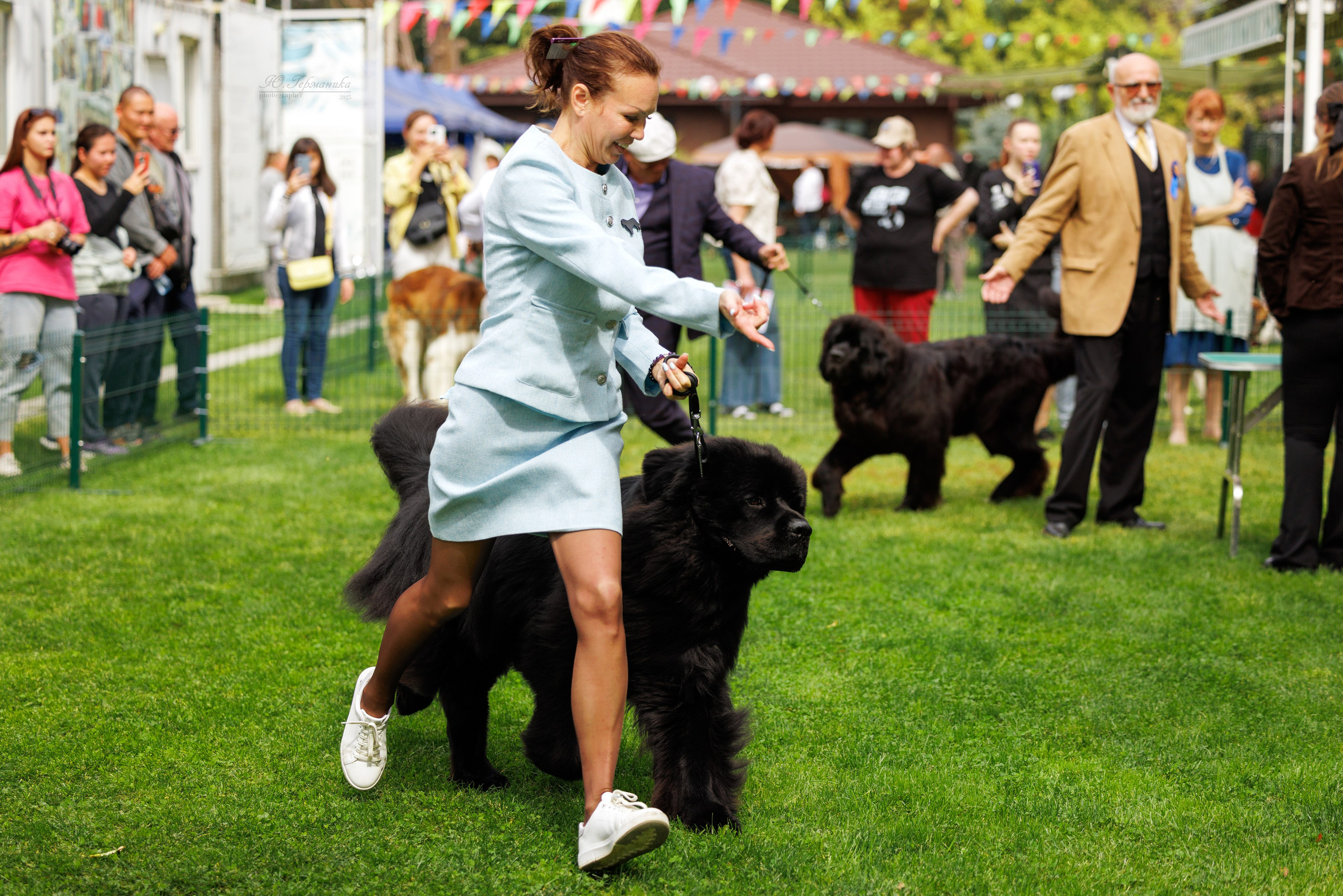 Бишкек 3х CACIB 26-28.09.2025. Фотограф-анималист Юлия Германика