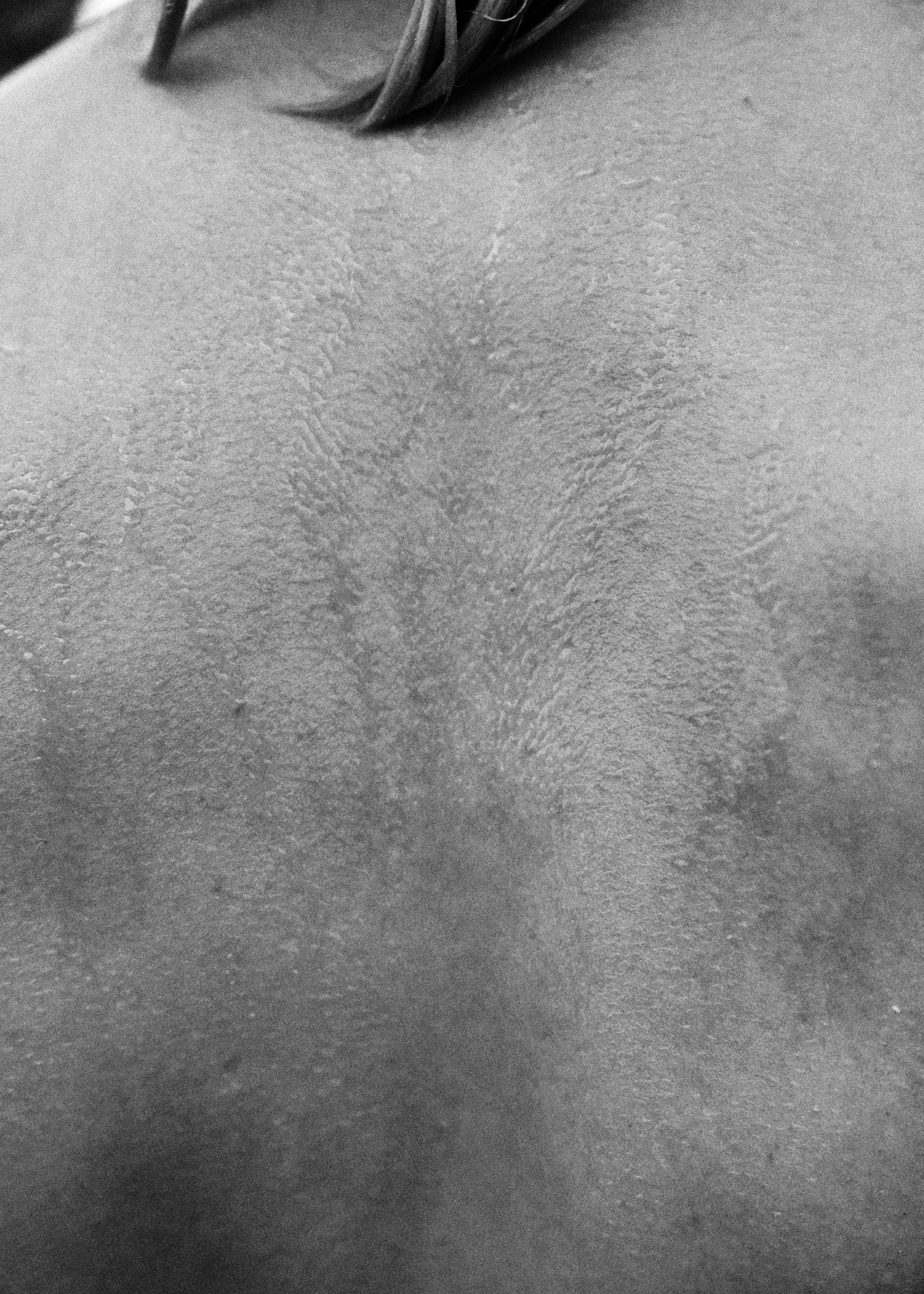 Портфолио. Фотограф Москва | Anastasia Permyakova