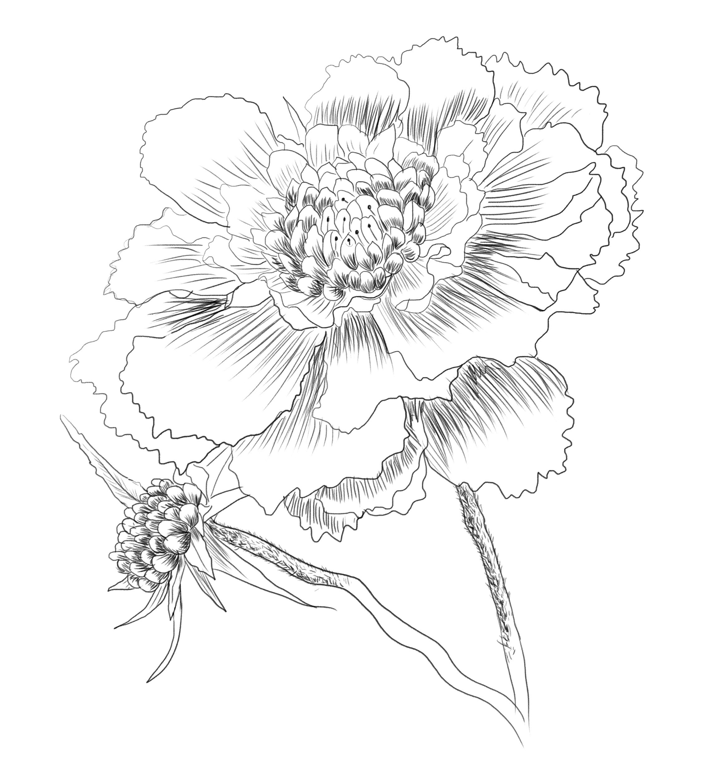 Истории. Фотограф на крестины