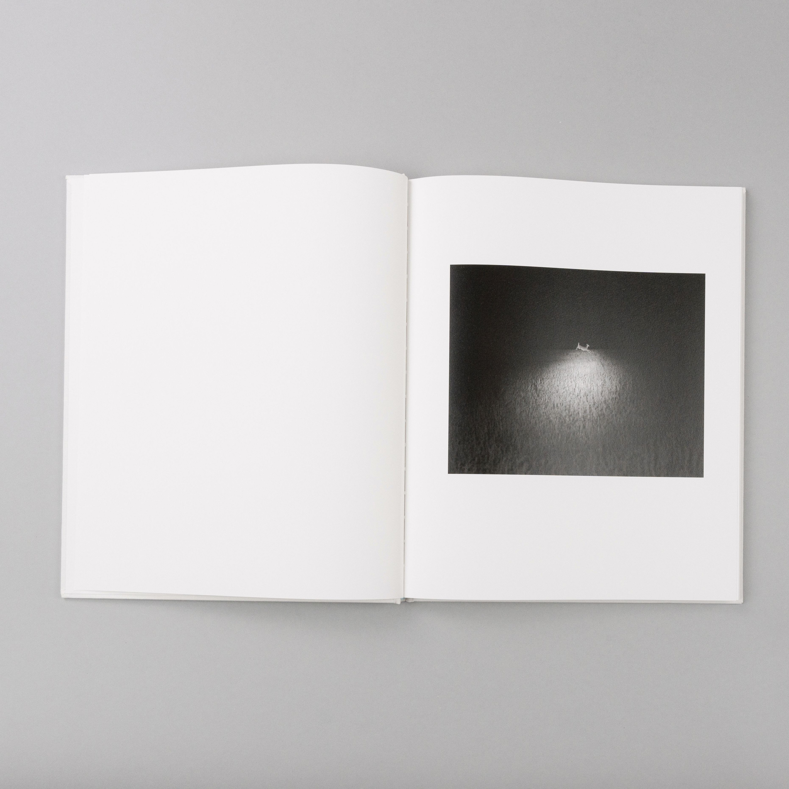 Фотокнига «Dormant Season» Эринн Спрингер (Erinn Springer). Private image