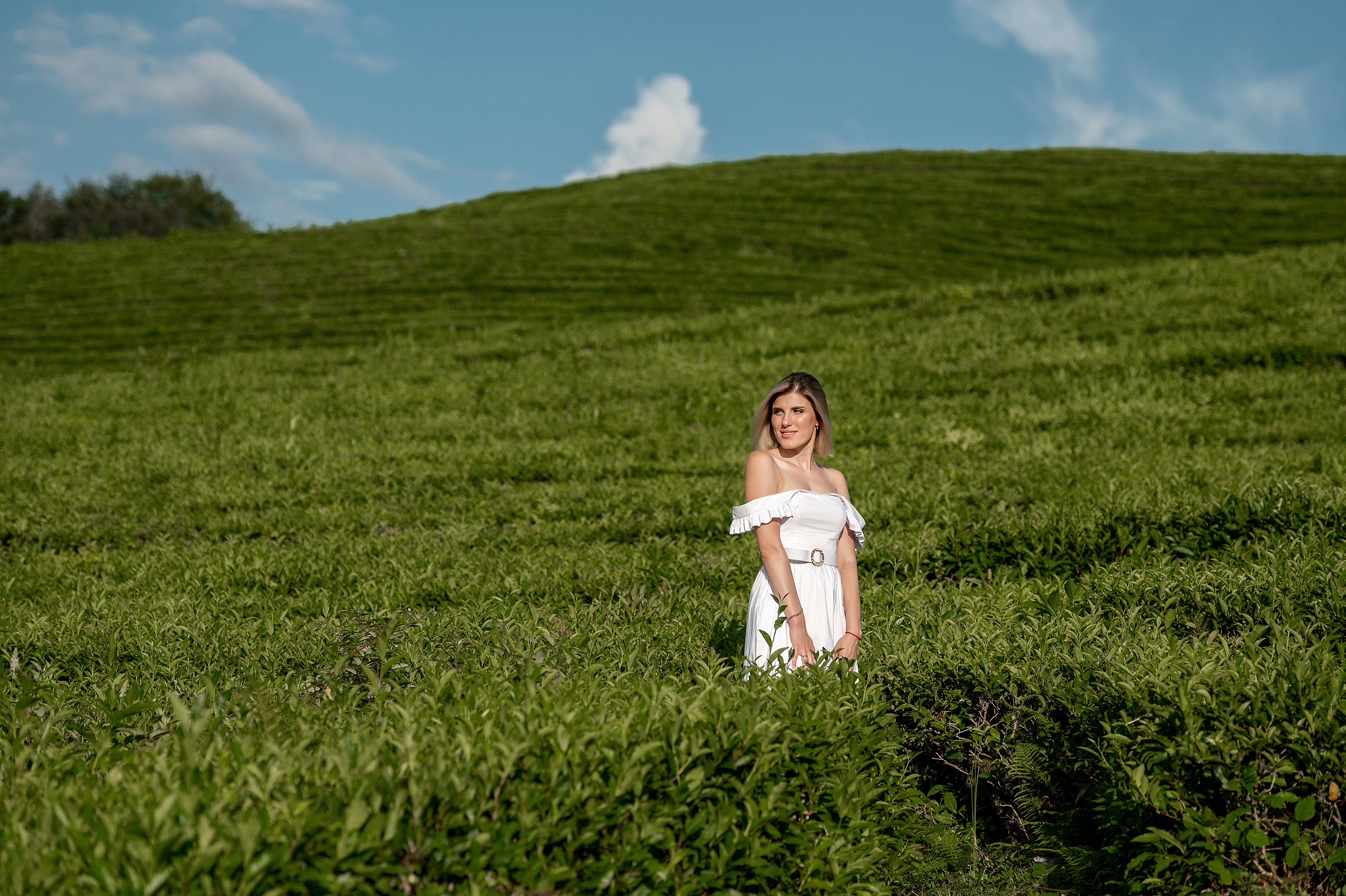 Антон Катя и Сева. Фотограф в сочи Свадебный фотограф Сочи