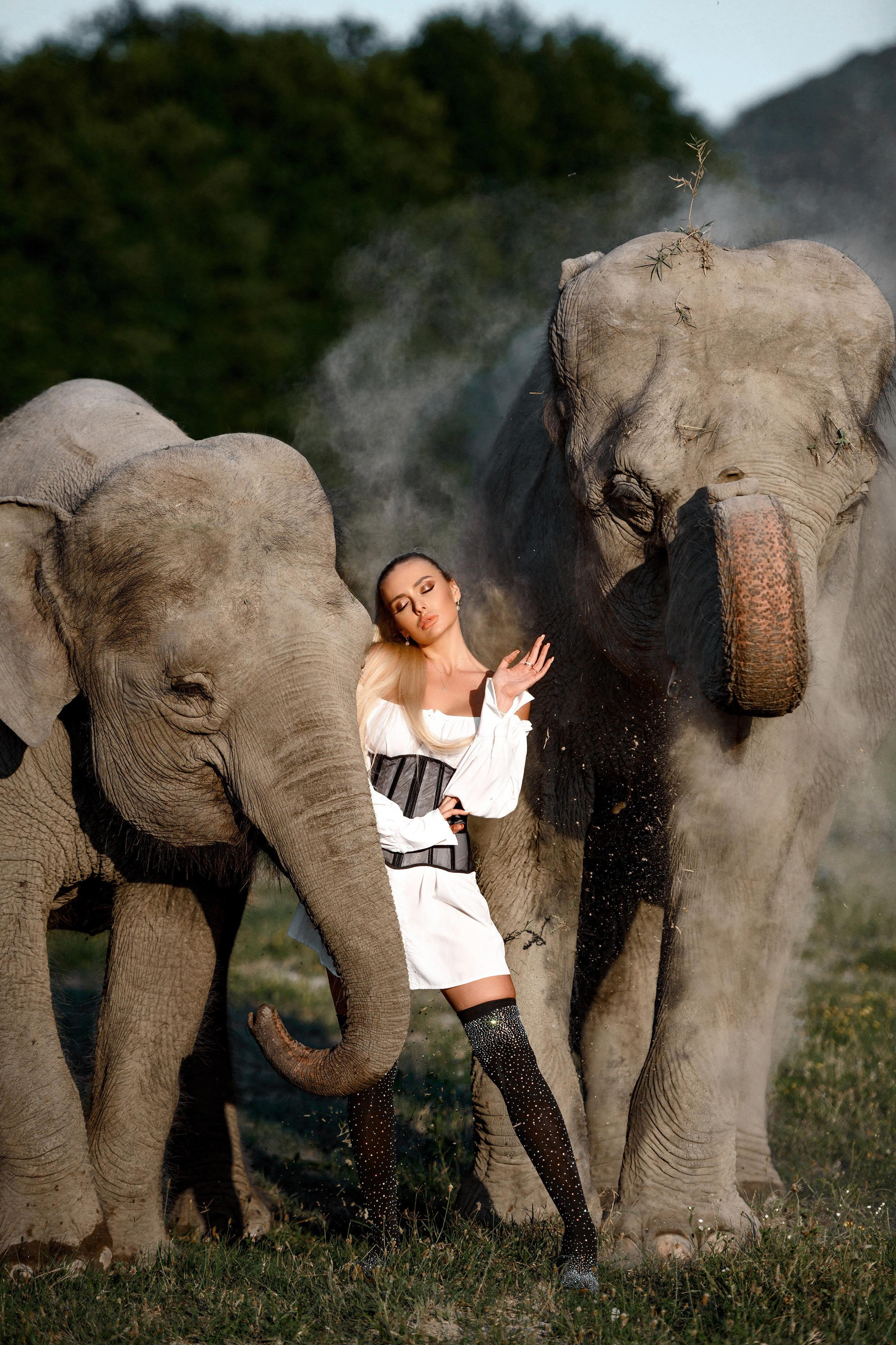 Юля и Слоны. Фотограф в сочи Свадебный фотограф Сочи