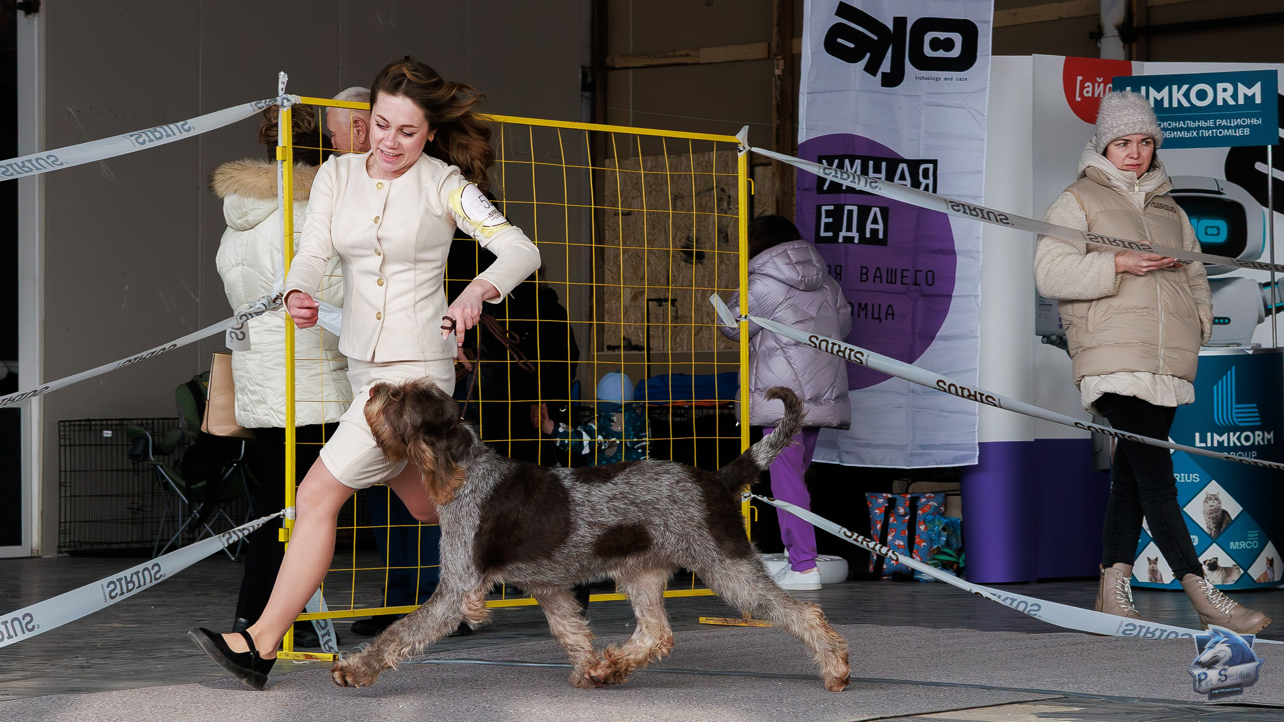 Выставки. Фотограф Марк Файзулин