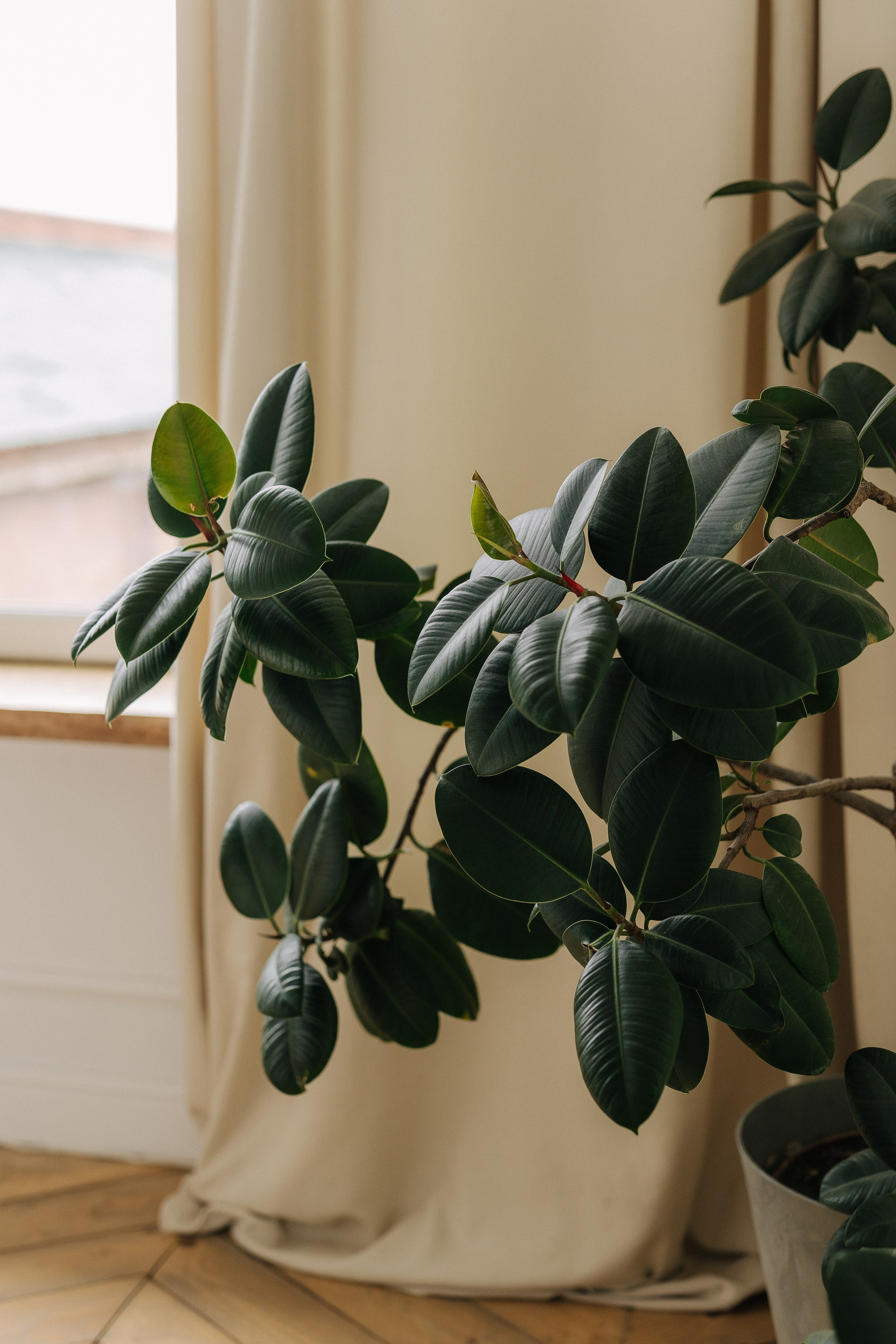 Дача-лофт, Дача. Свадебный семейный и детский фотограф в Краснодаре Карина Федоровская