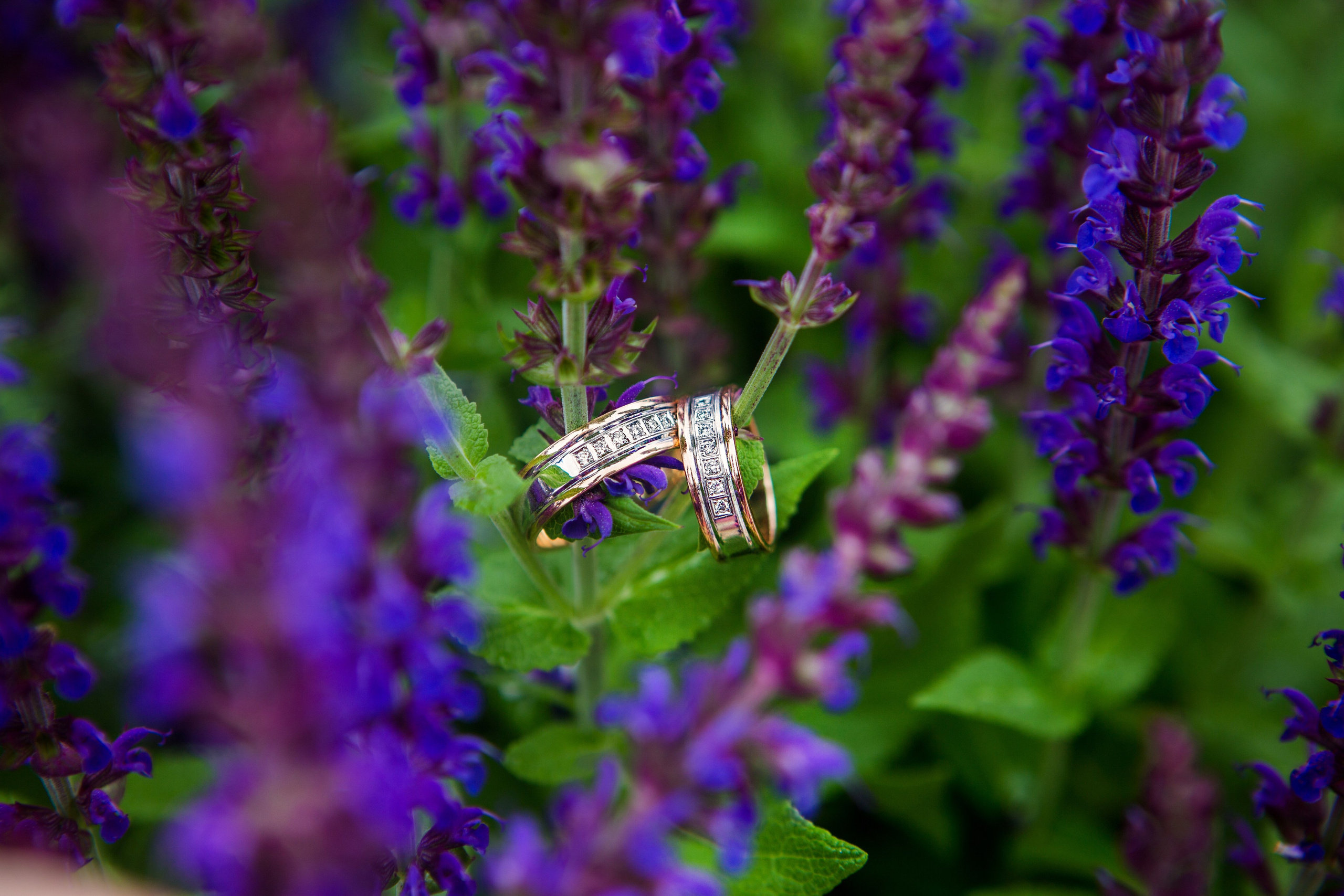 Валентина и Игорь. Свадебный семейный и детский фотограф в Краснодаре Карина Федоровская