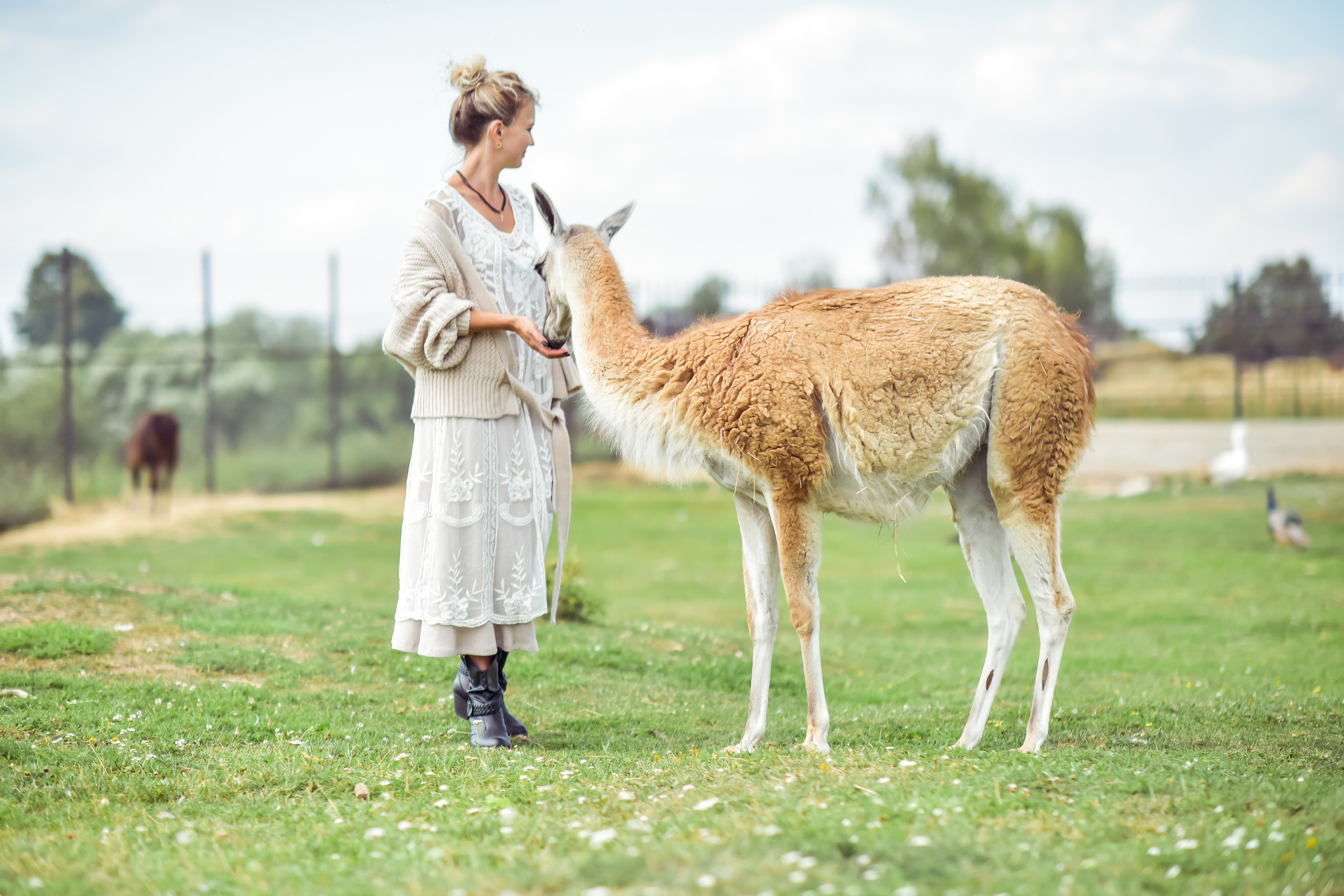 РАНЧО/ АВГУСТ. Фотограф для бизнесконтента, репортажей и семейного альбома в Москве