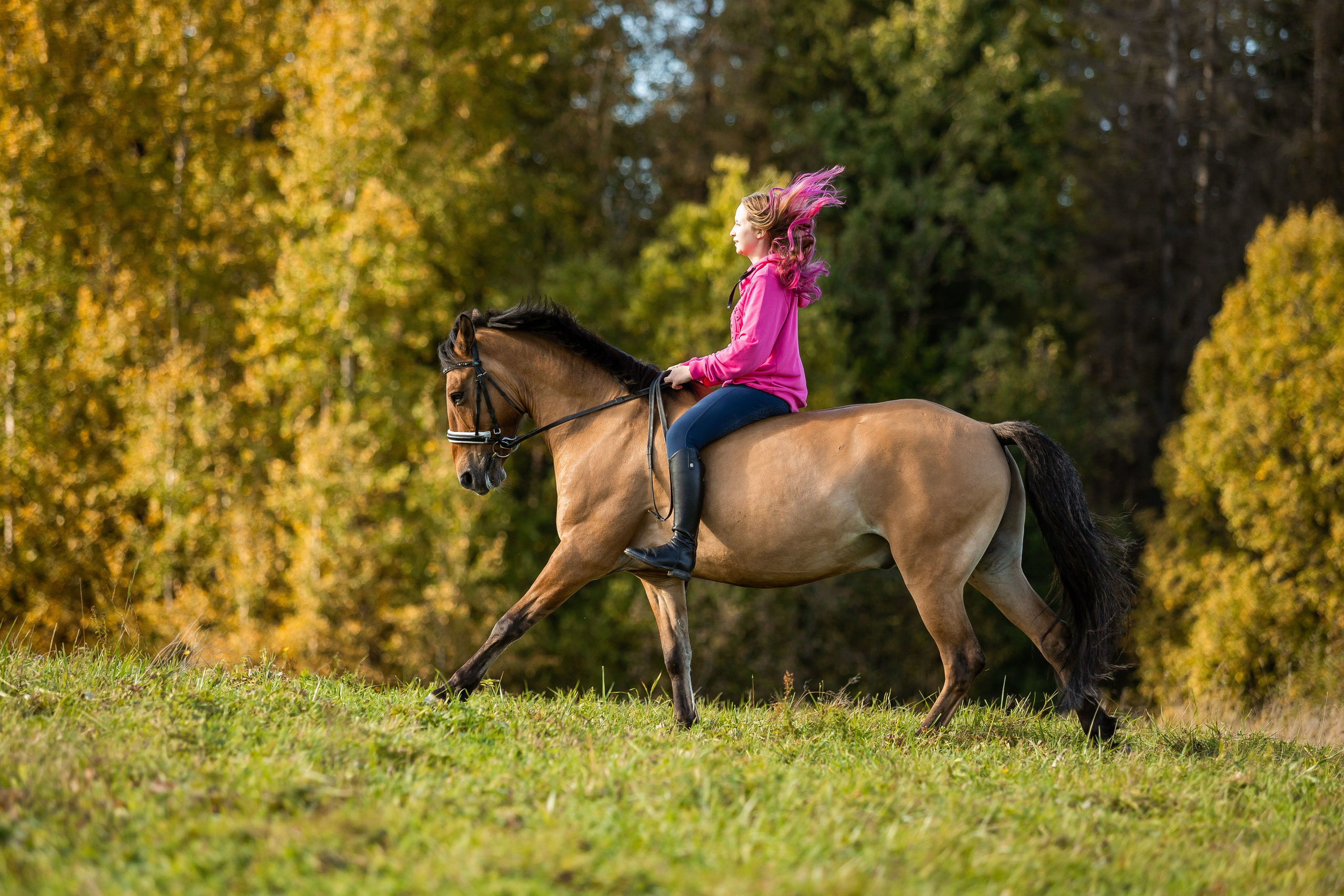 ФОТОСЕССИИ С ЖИВОТНЫМИ. Свадебный фотограф Санкт-Петербург Катерина Ширяева