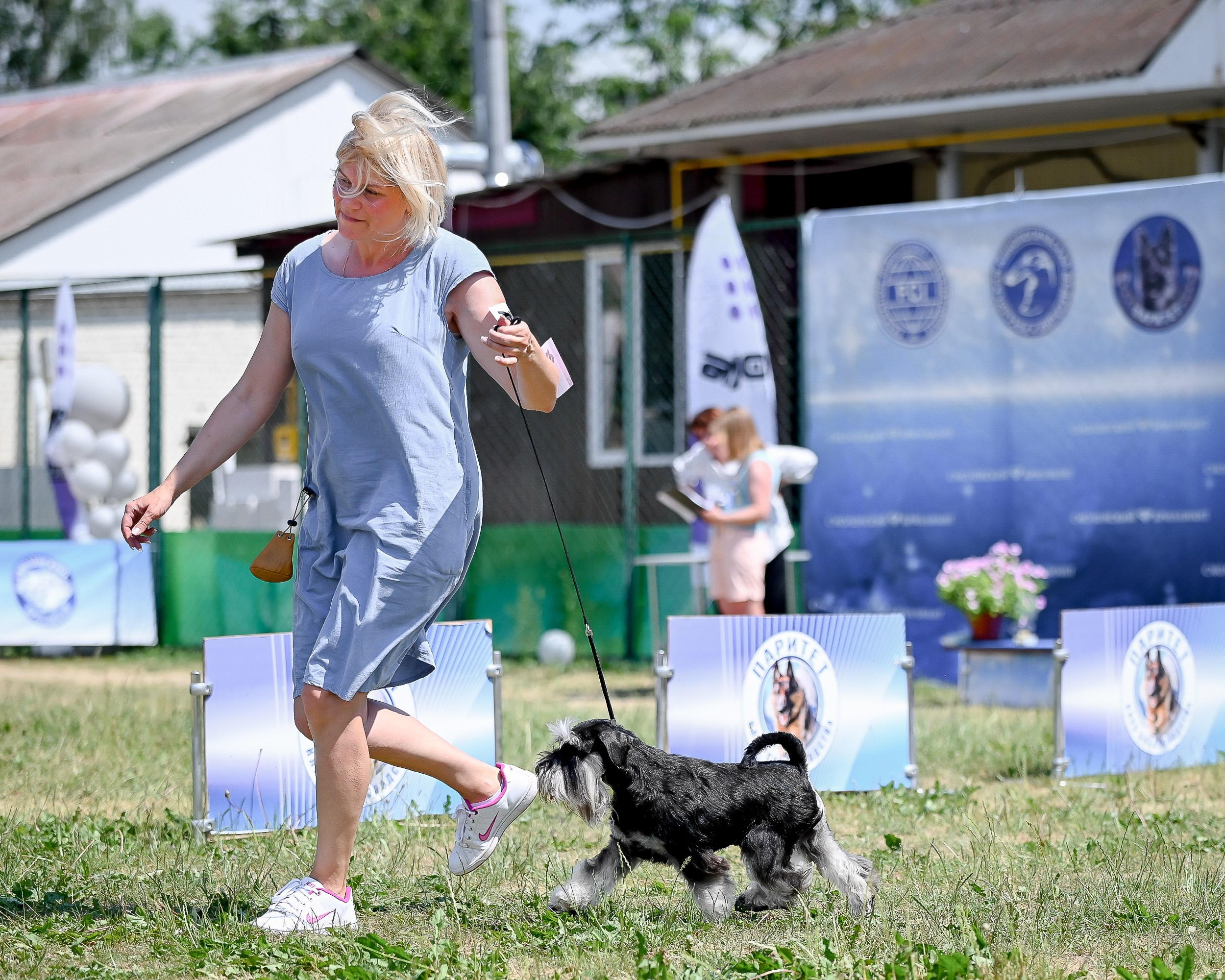 Питомник Делинсо Бэлэнс, щенки цвергшнауцера, купить щенка цвергшнауцера, питомник цвергшнауцеров, кобель цвергшнауцера для вязки, щенок цвергшнауцера, питомник цвергшнауцеров, черный с серебром, цверг, лучший питомник в беларуси