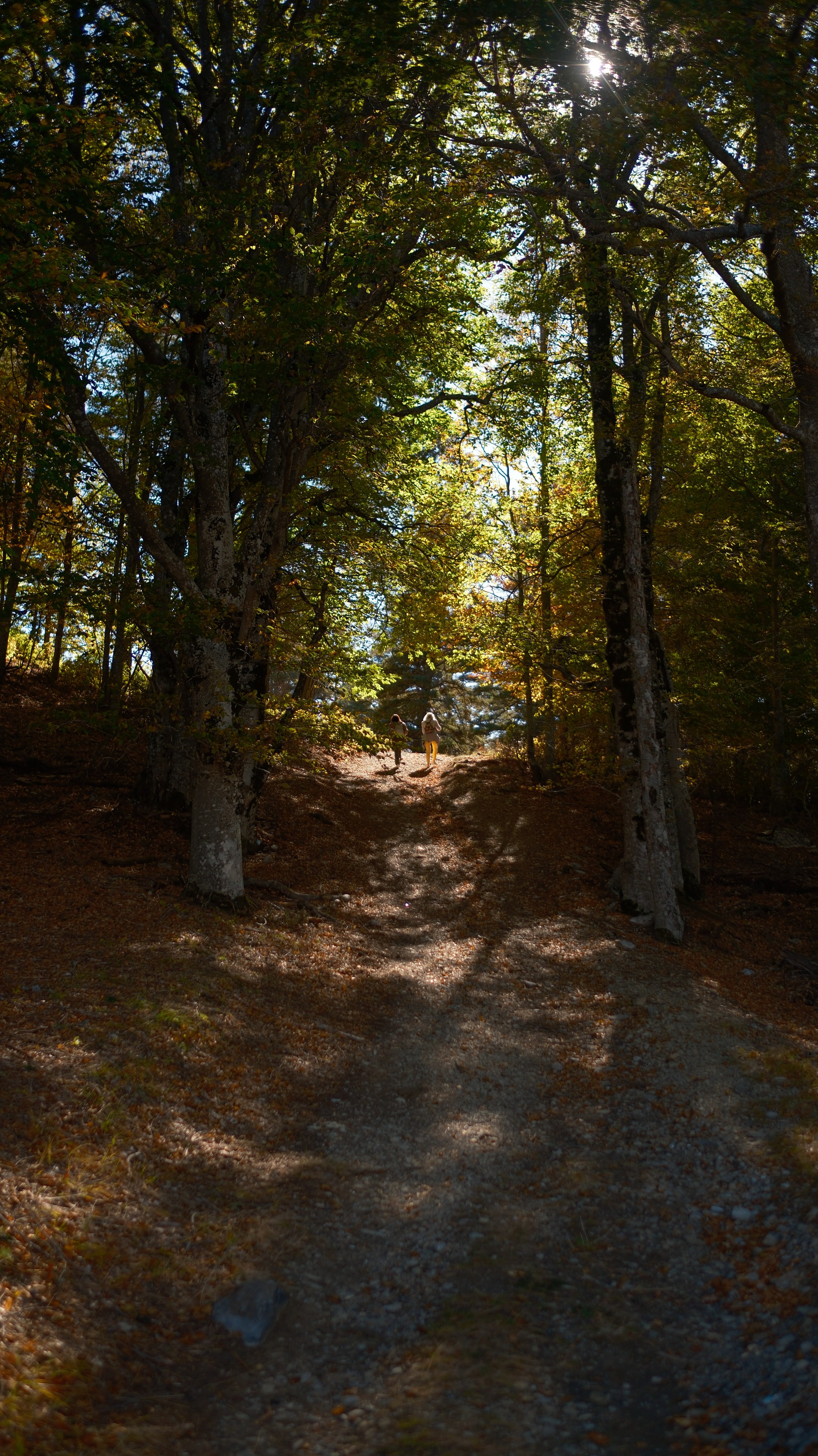 Хочу в Национальный Парк «Крымский». Гид и фотограф в Крыму Сергей Соколов