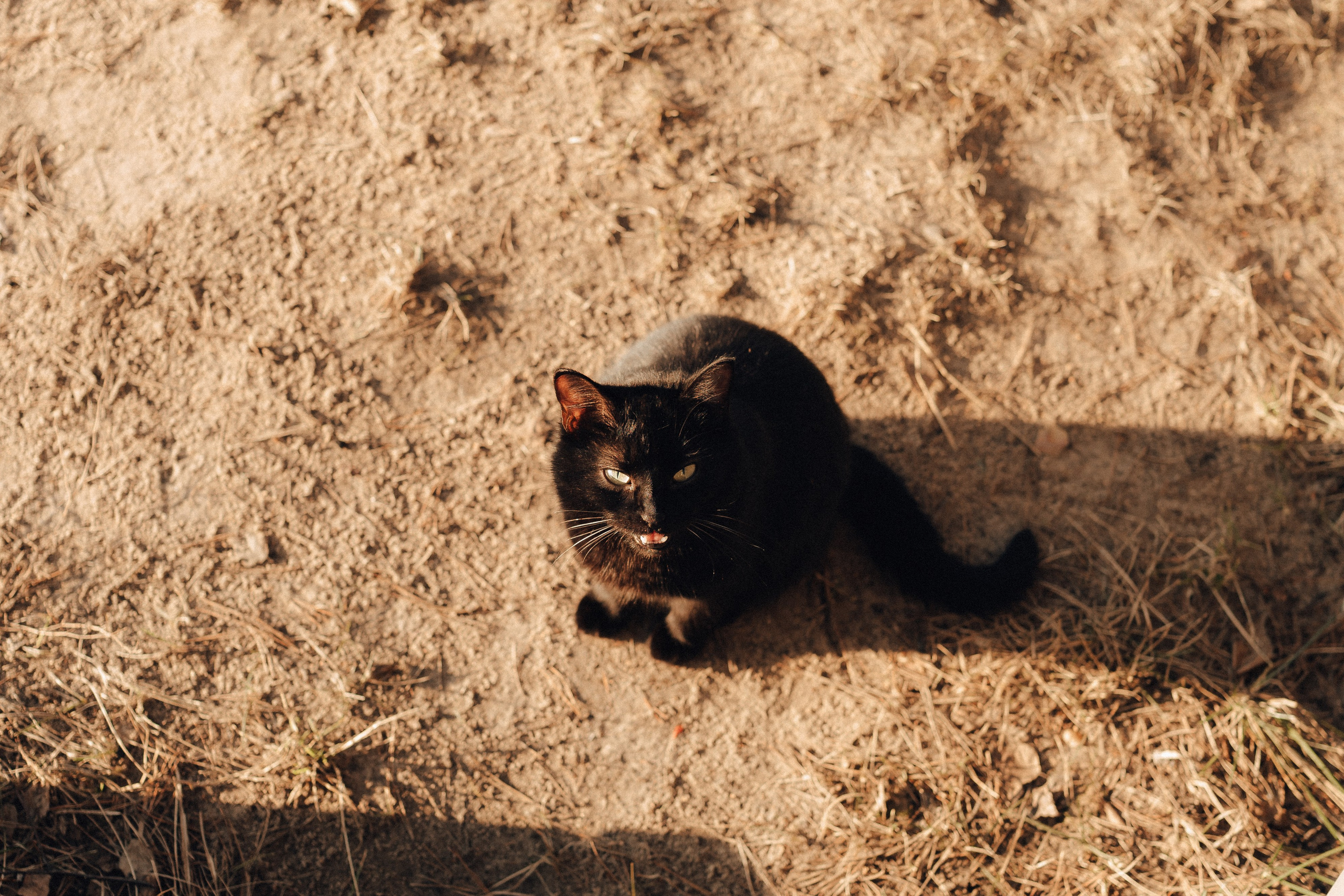 Горьковское море. Детский и семейный фотограф Катерина Мишина
