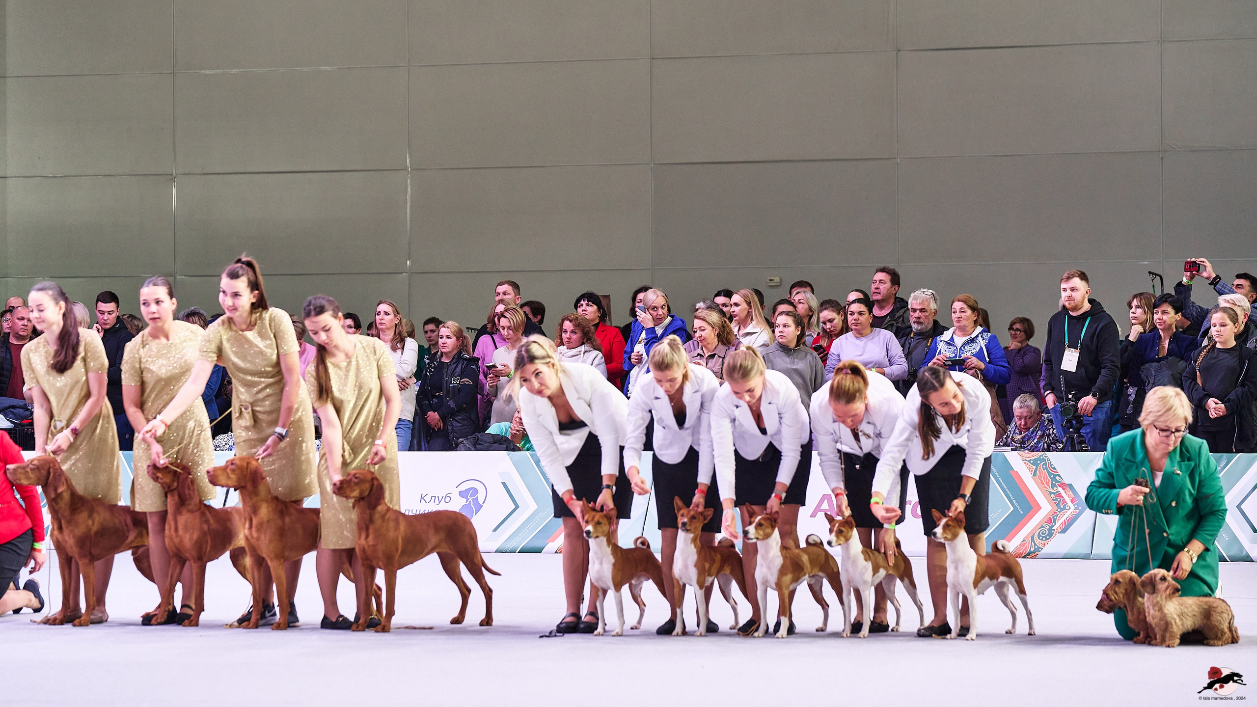 16.11.2024 «ЕВРАЗИЯ. КУБОК ПРЕЗИДЕНТА РКФ 2024»