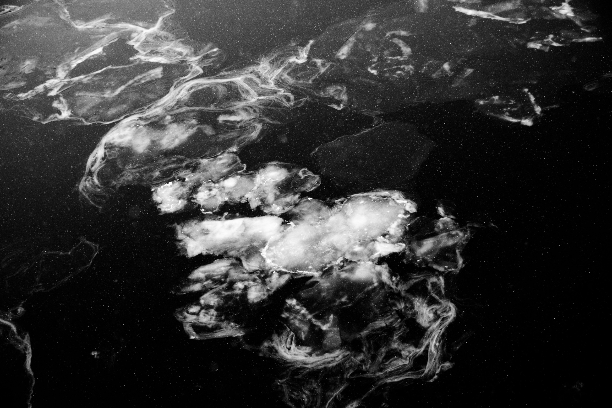 Порт зимой. Свадебный, портретный фотограф в Волгограде Ермашова Дарья