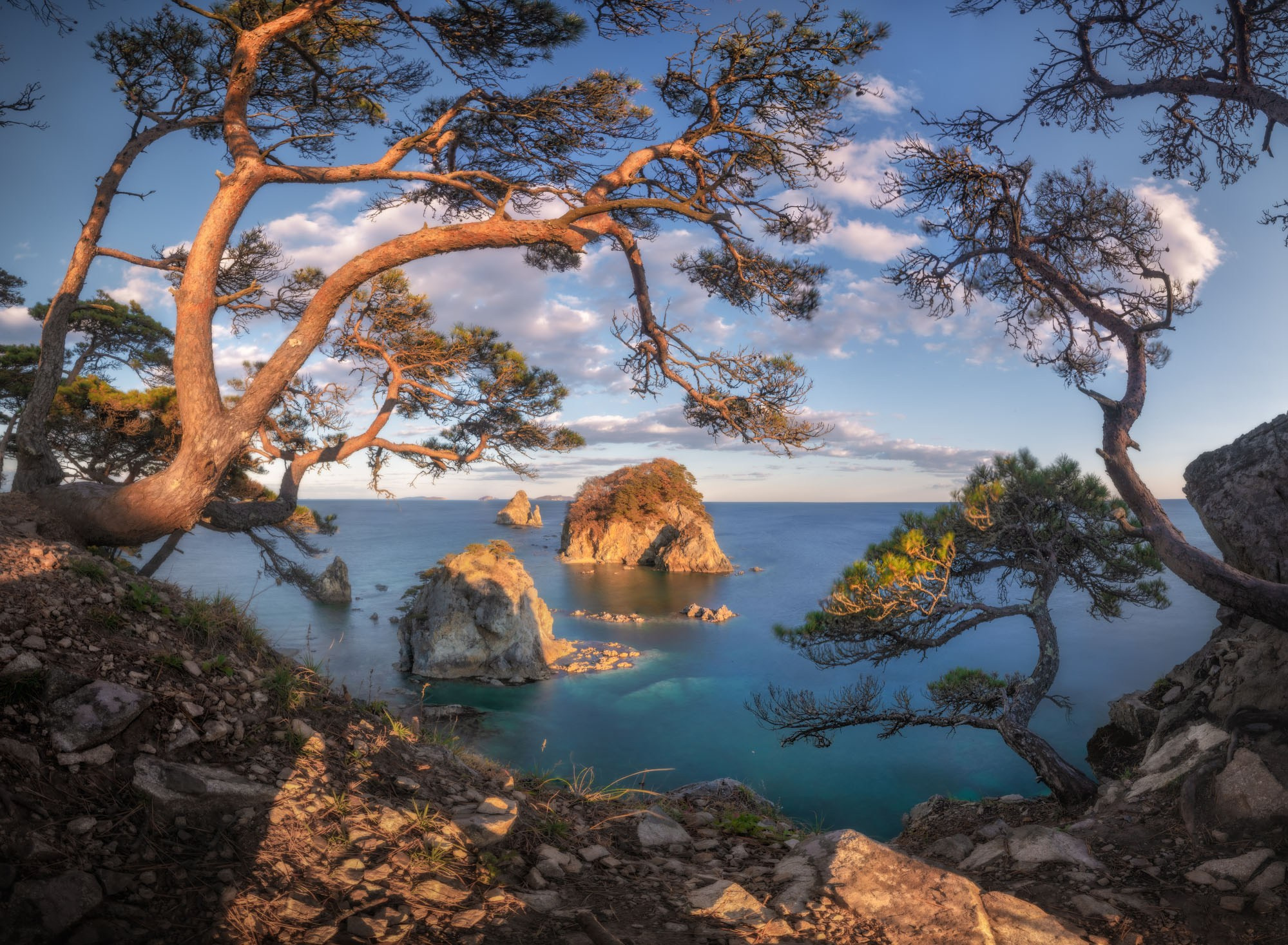 Фотографии Приморье