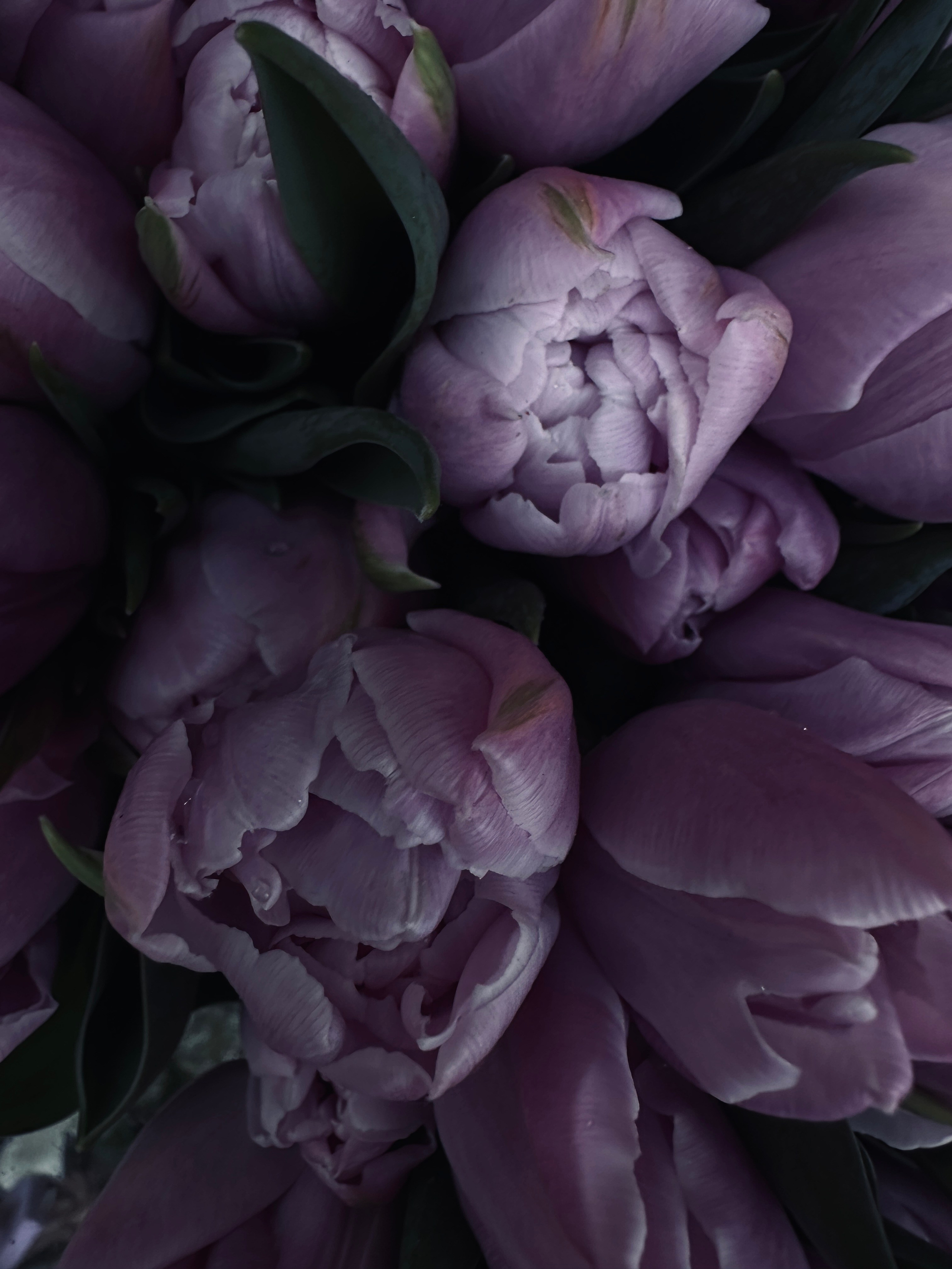 Макро любовь. Смотри, красота!