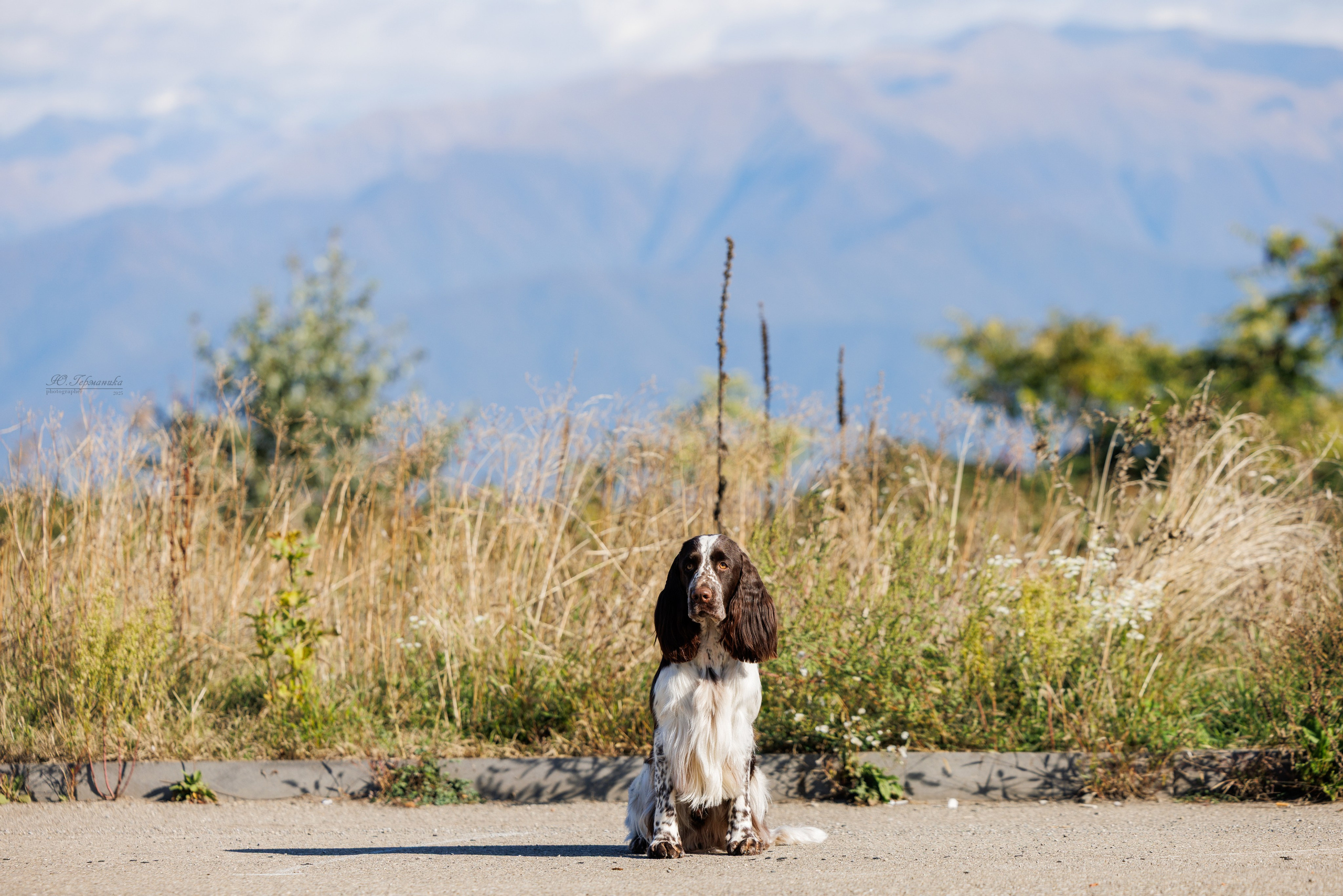 Телави 11-12.10.2025. Фотограф-анималист Юлия Германика