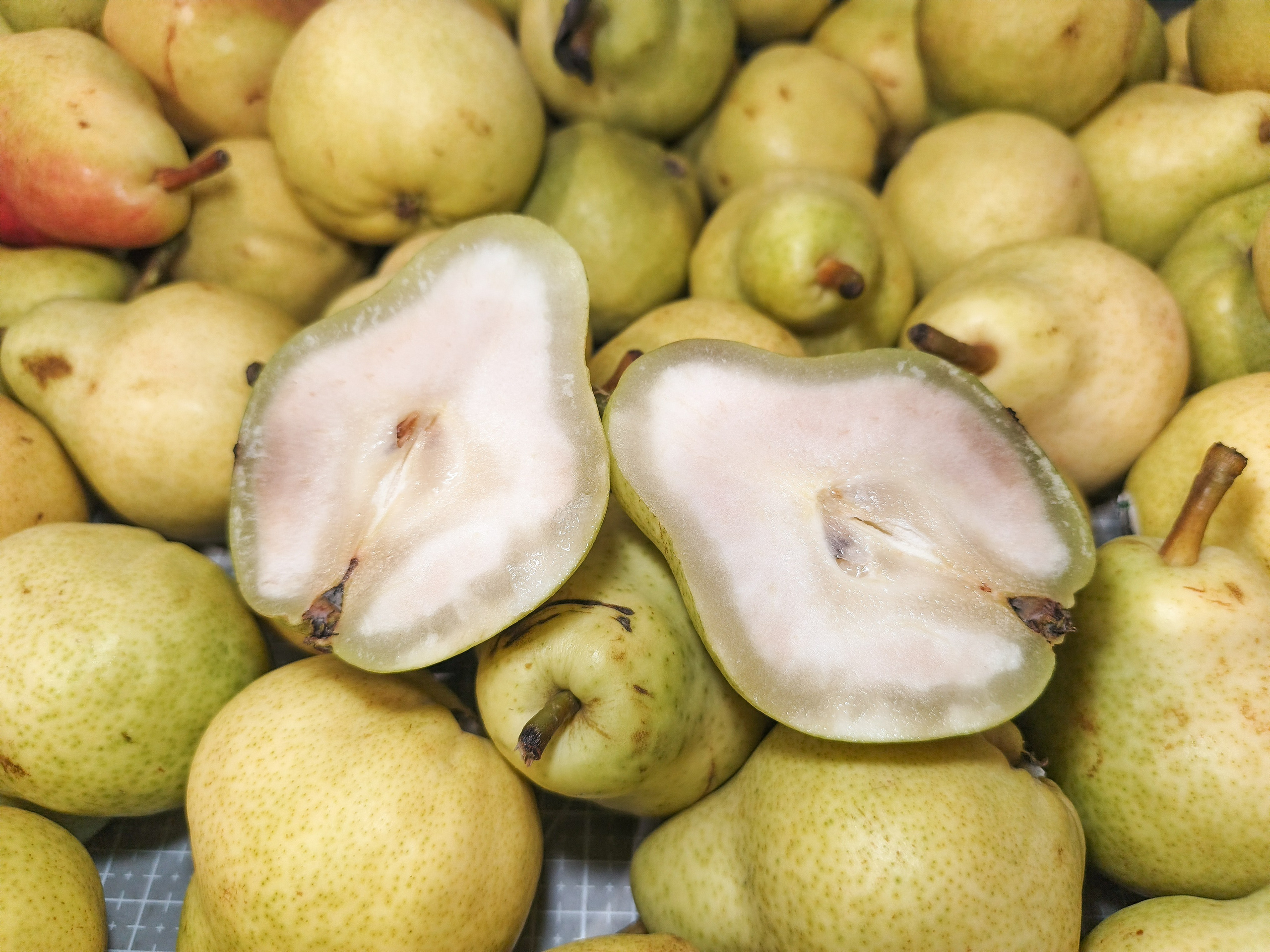 Galerie. Inspection des fruits et légumes en Russie