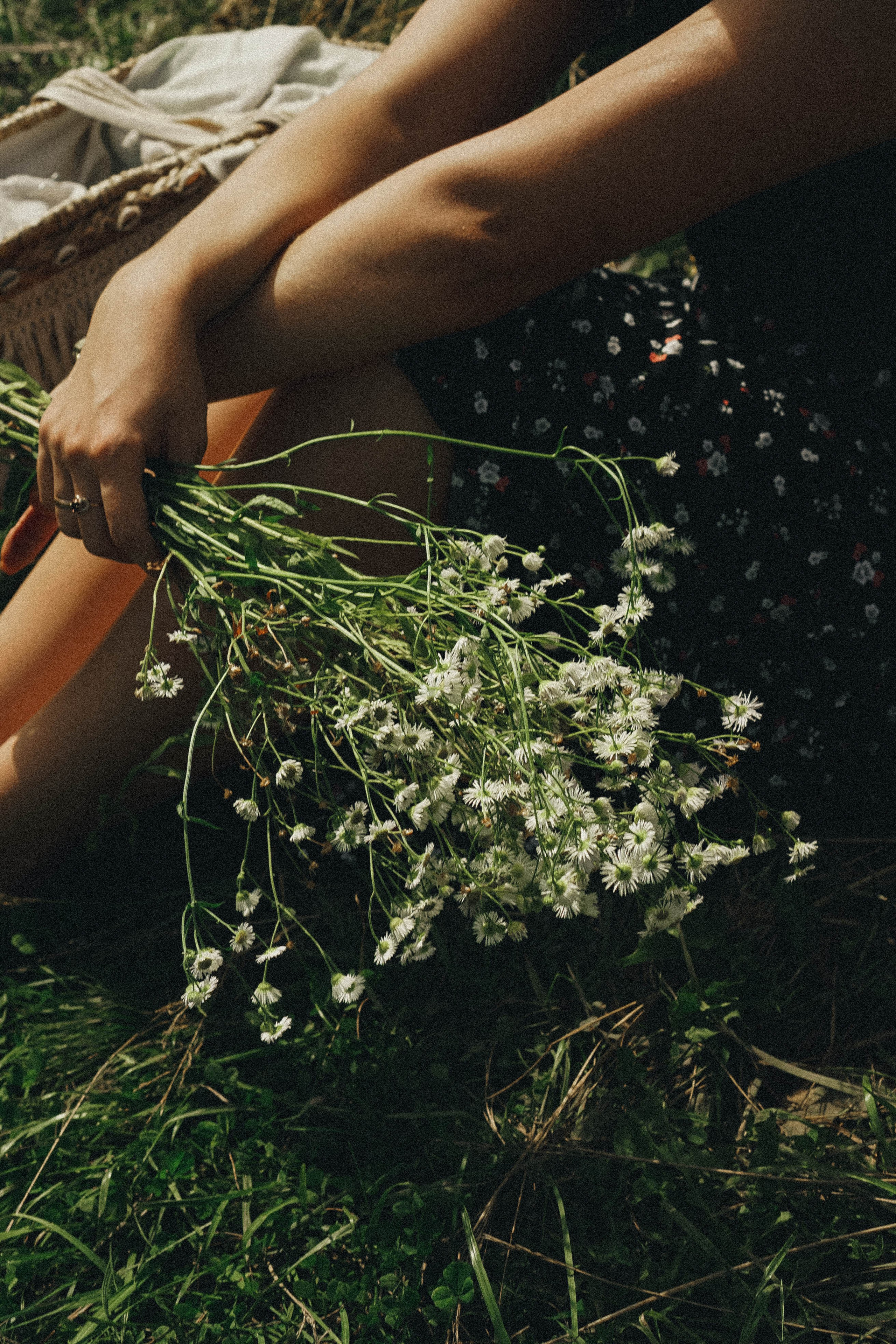 Прогулка на природе. Профессиональный фотограф, Санкт-Петербург — Виктория Богомолова