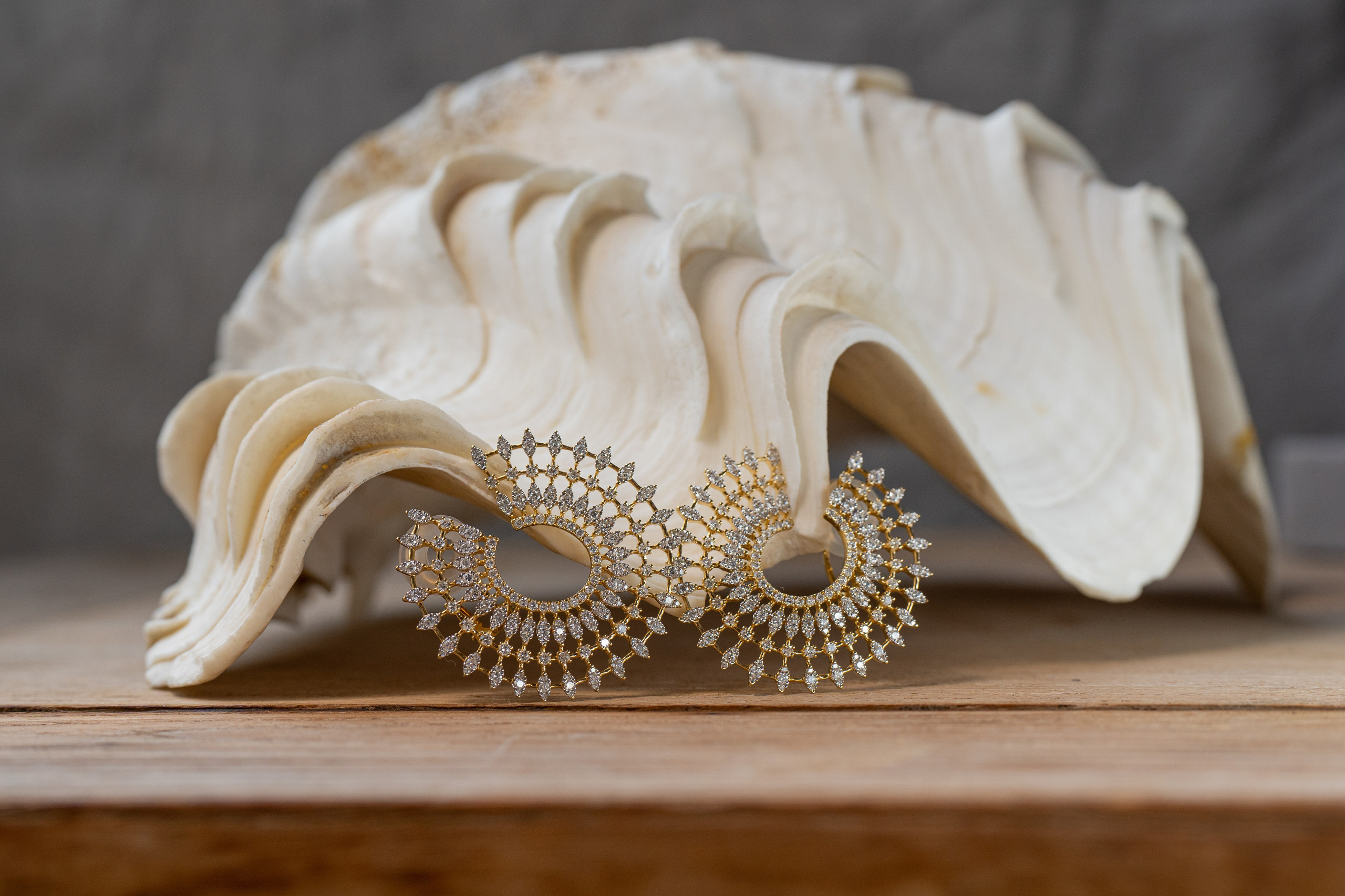 Jewellery. PavelVisual