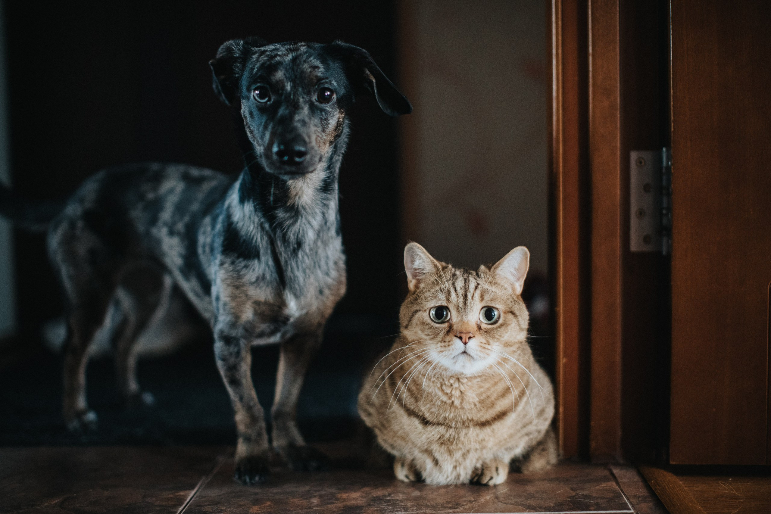 Свадьба. Baranowsky_wed