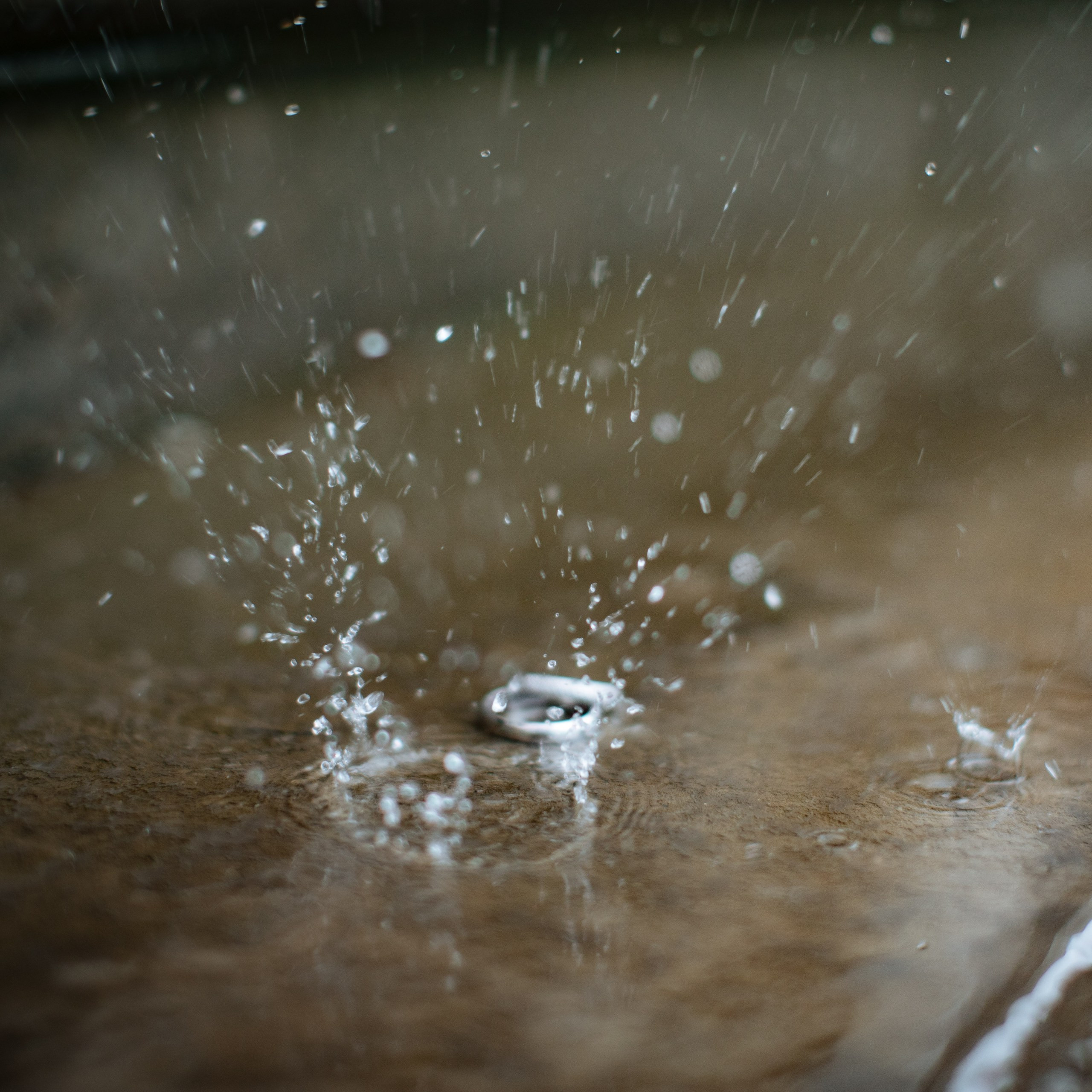 Свадьба. Baranowsky_wed