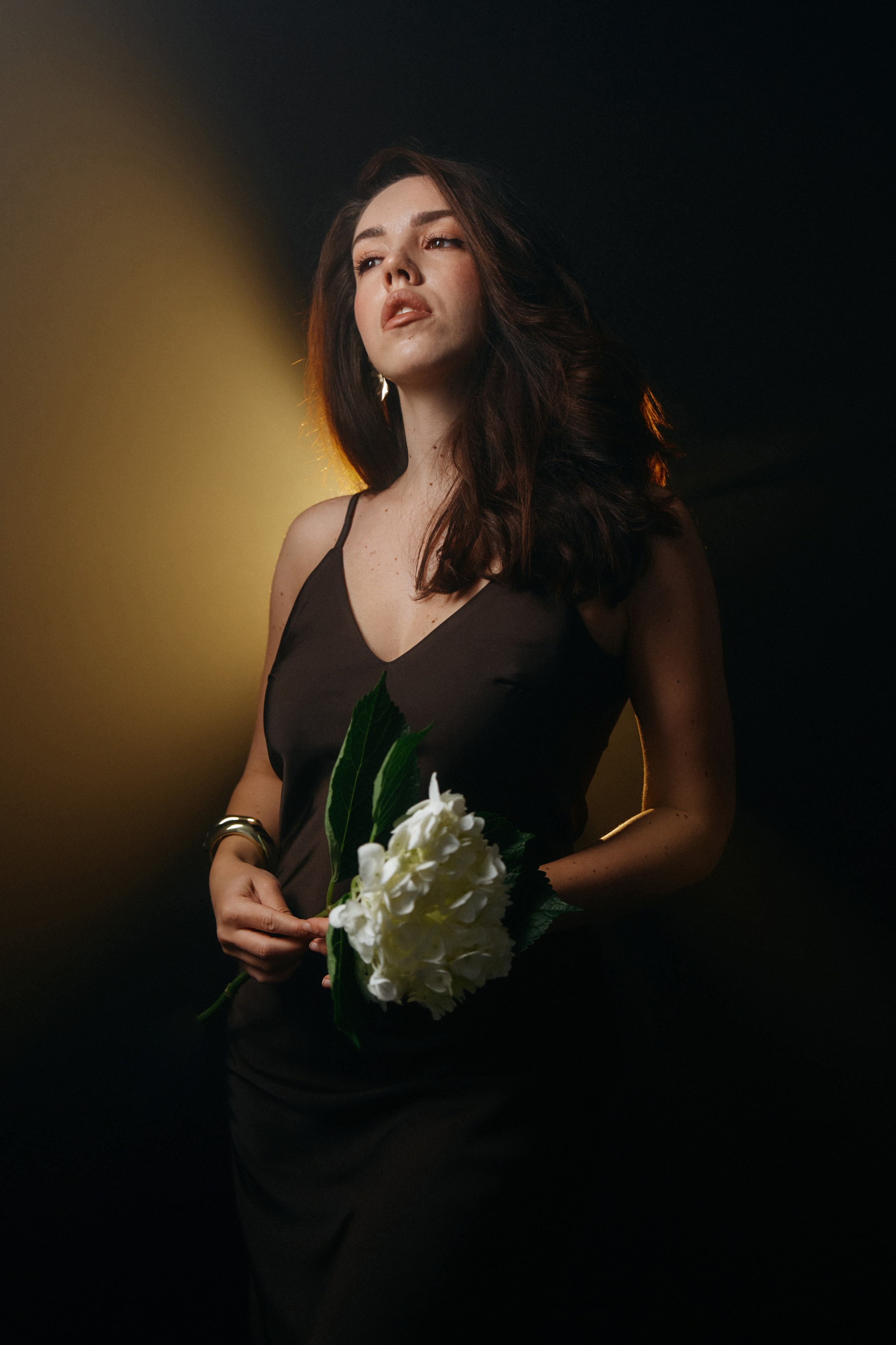 Violetta. Фотограф Волгоград