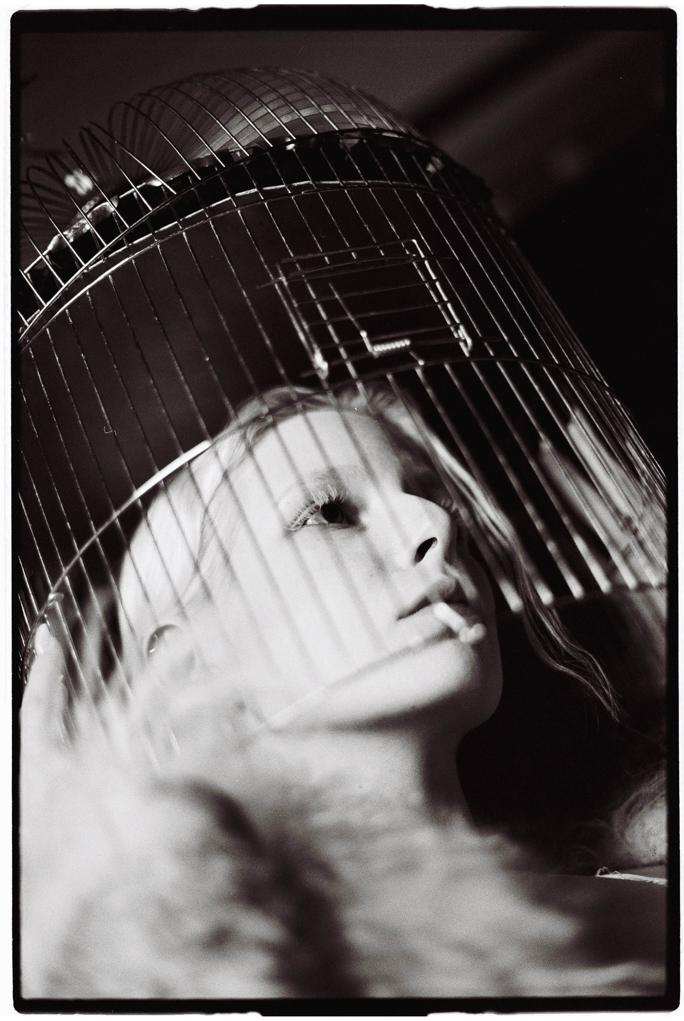 Polyna. MARK DOROHOV