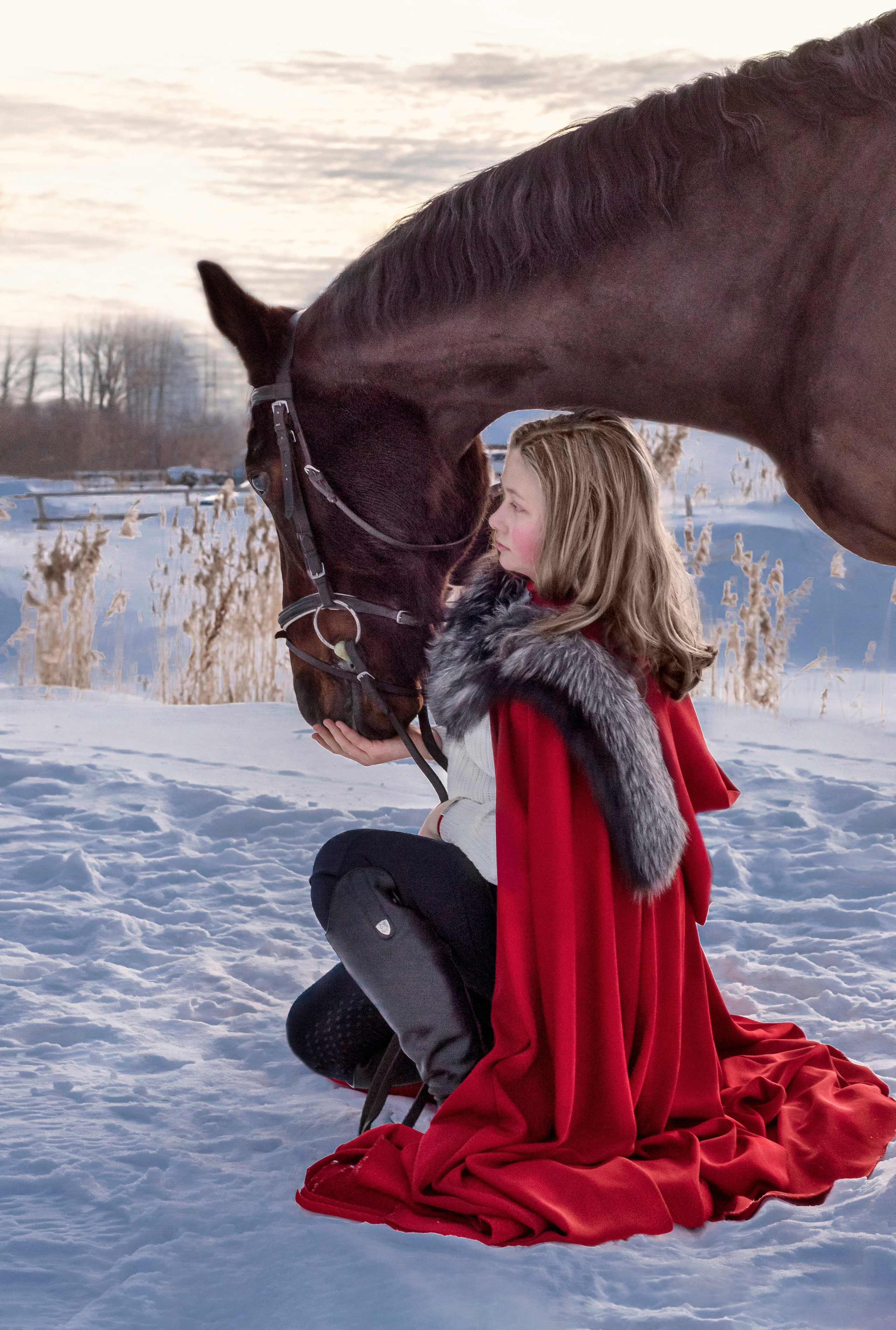 С лошадьми. Фотографы для фотосессий в Новосибирске