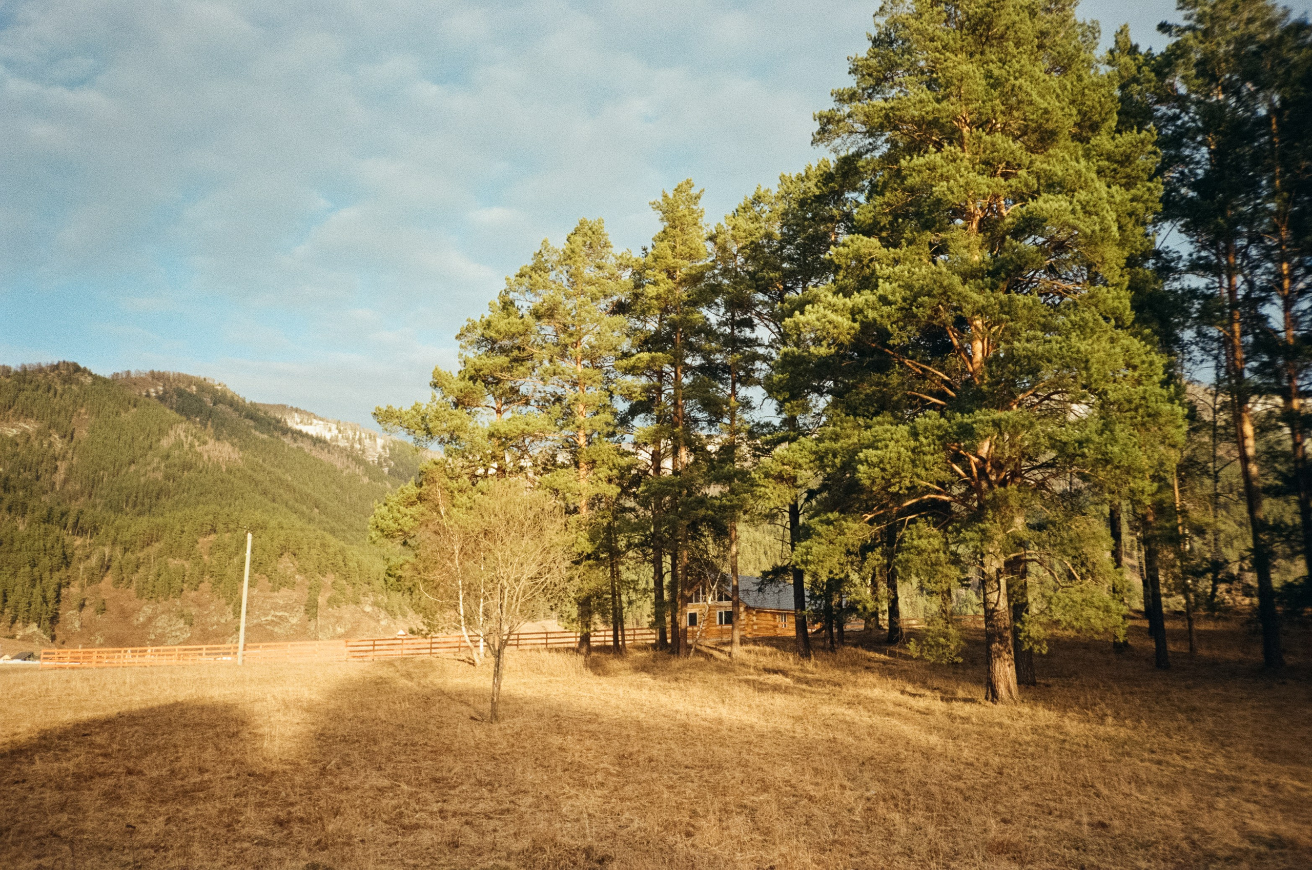 От Кызыл-Таша до Чемала. Техас, горы, поля и коровы. Фотограф-документалист Мария Осокина