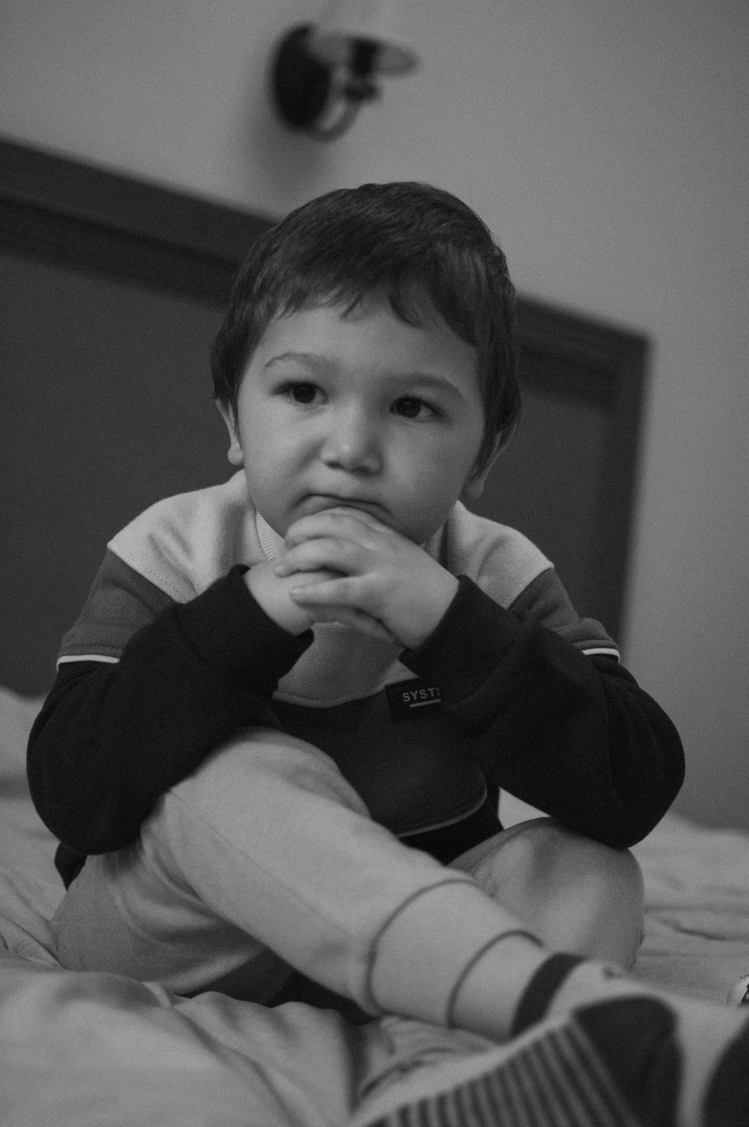 Индивидуальная фотосессия заказать в Железнодорожном, в Москве