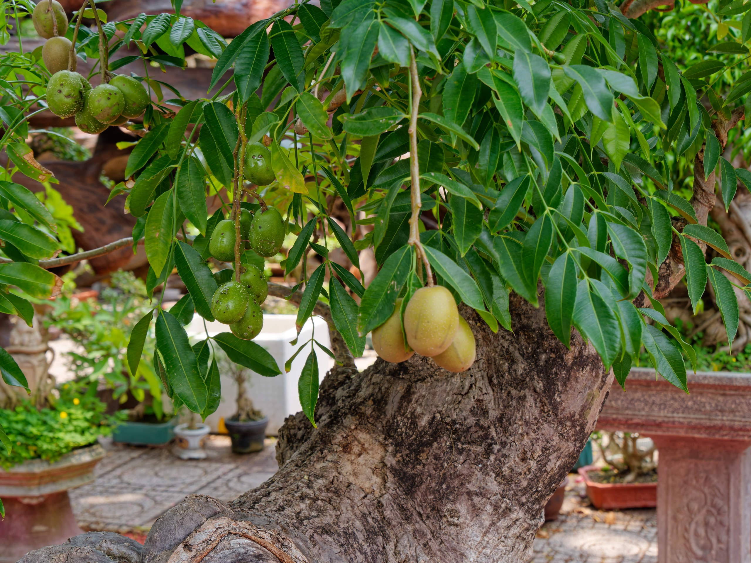 Нячанг 2025 (7). Избранные фотографии