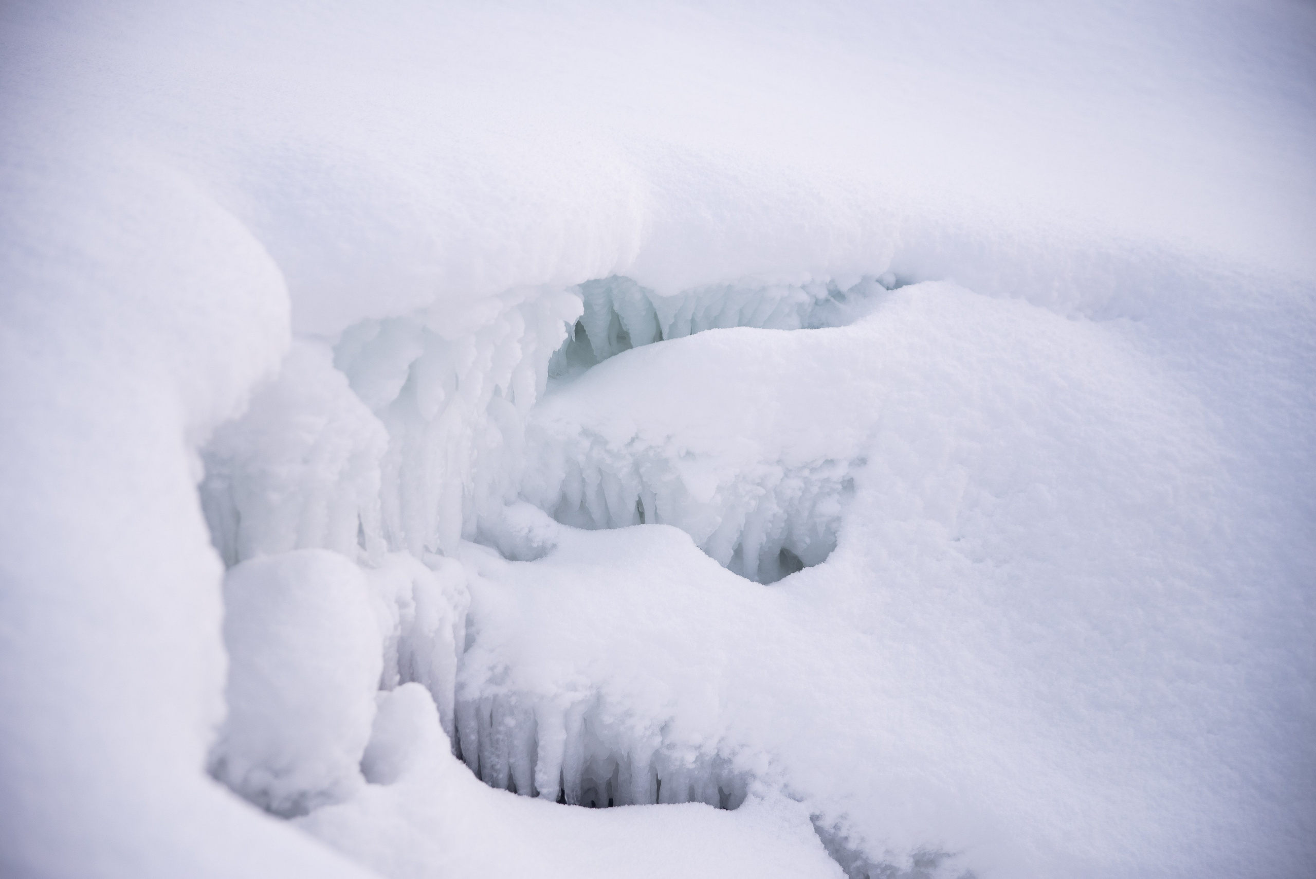 Териберка, Мурманск, Россия 🇷🇺. Anita_photo