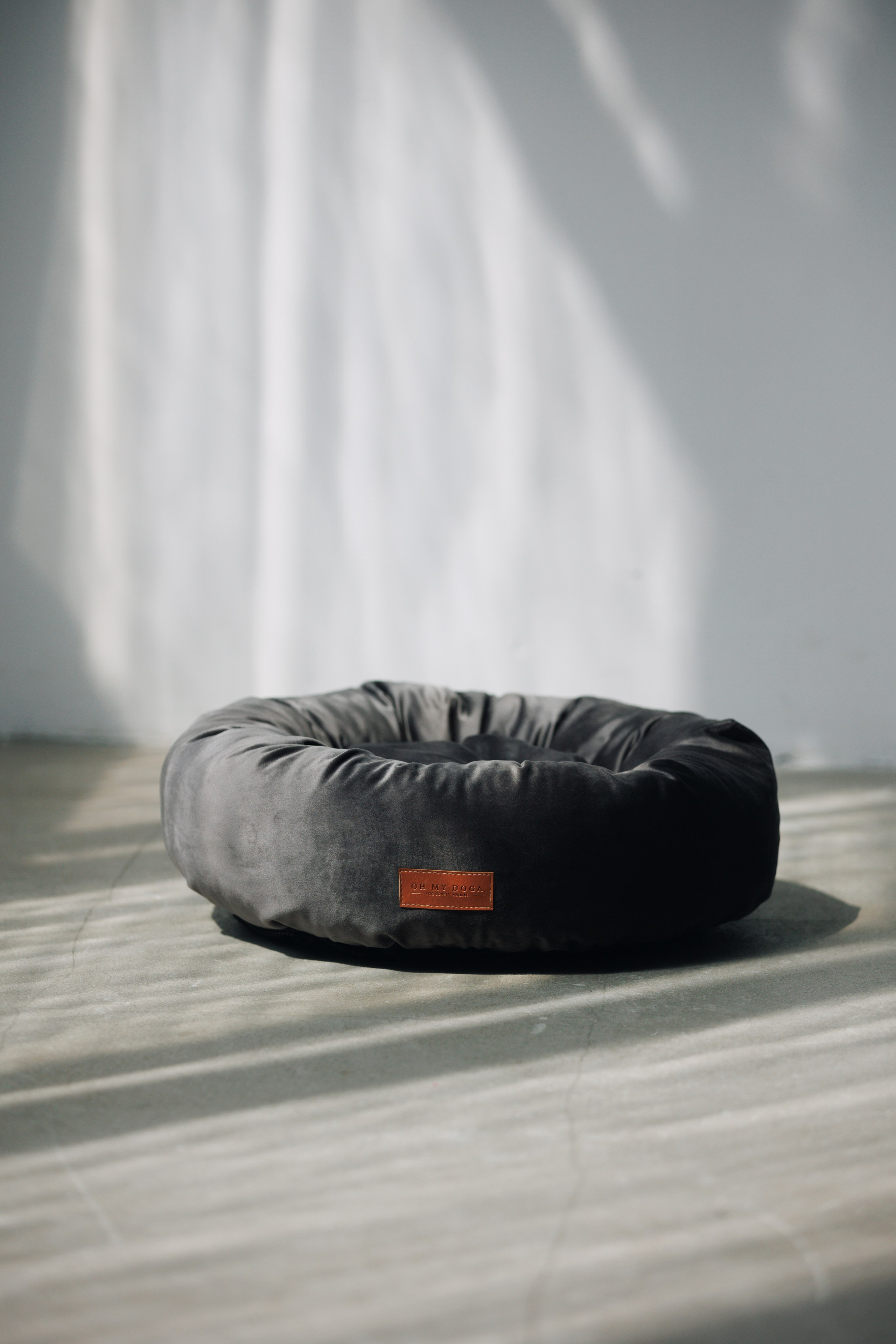 OH MY DOGA. Фотограф анималист Кристина Карпова, Москва