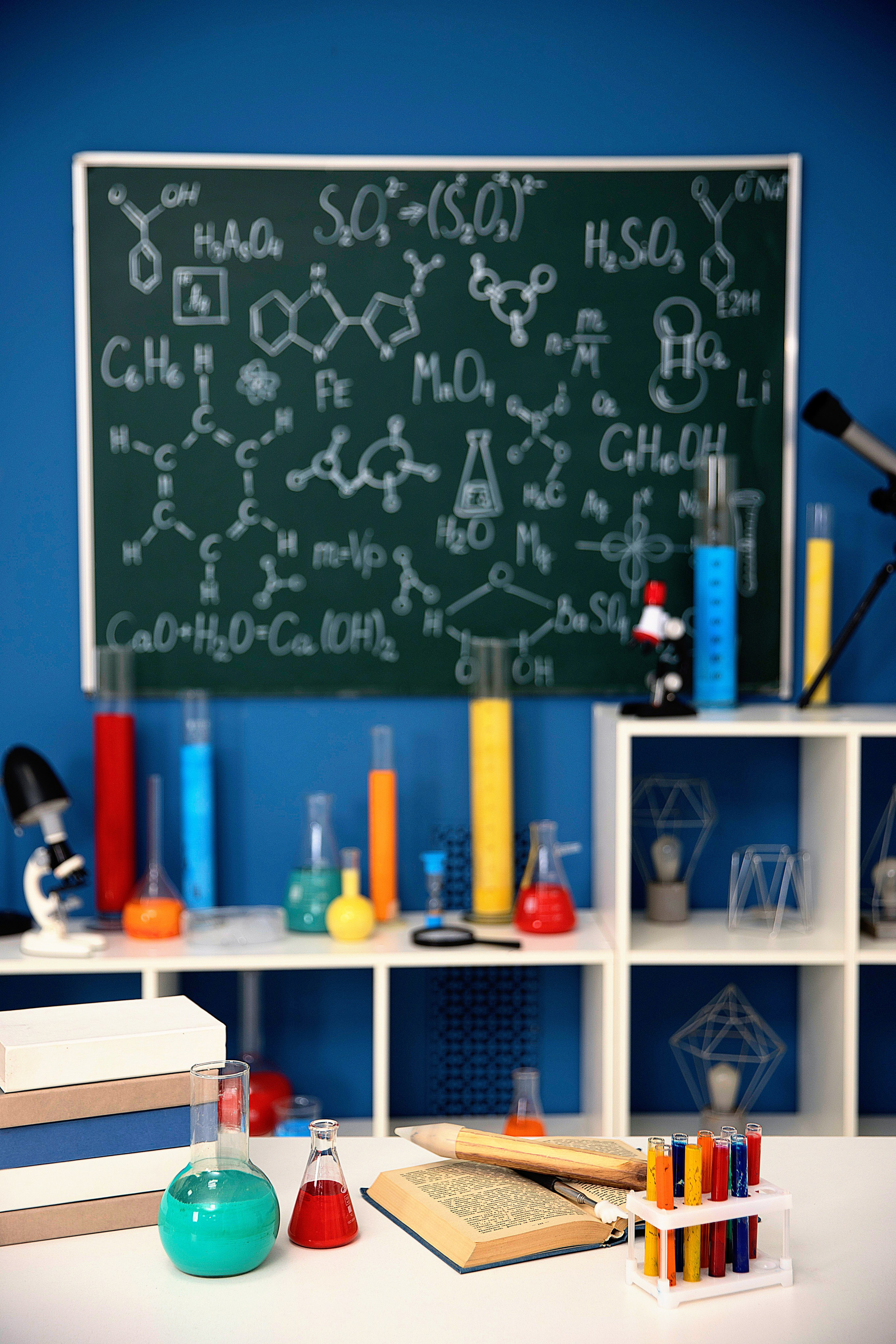 ШКОЛЬНЫЙ. Детский школьный фотограф в Кемерово Зиновьева Екатерина