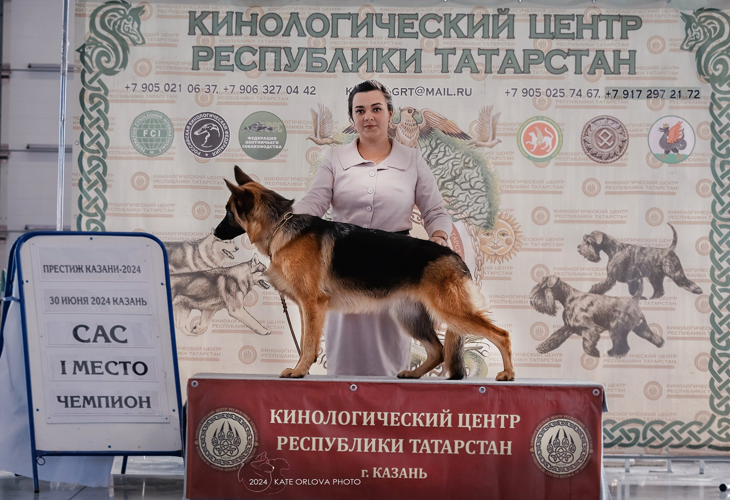 Фотосъемка собак, щенков, на выставках, фотограф анималист Россия воронеж. Питомник собак Акита, Хаски, Корги