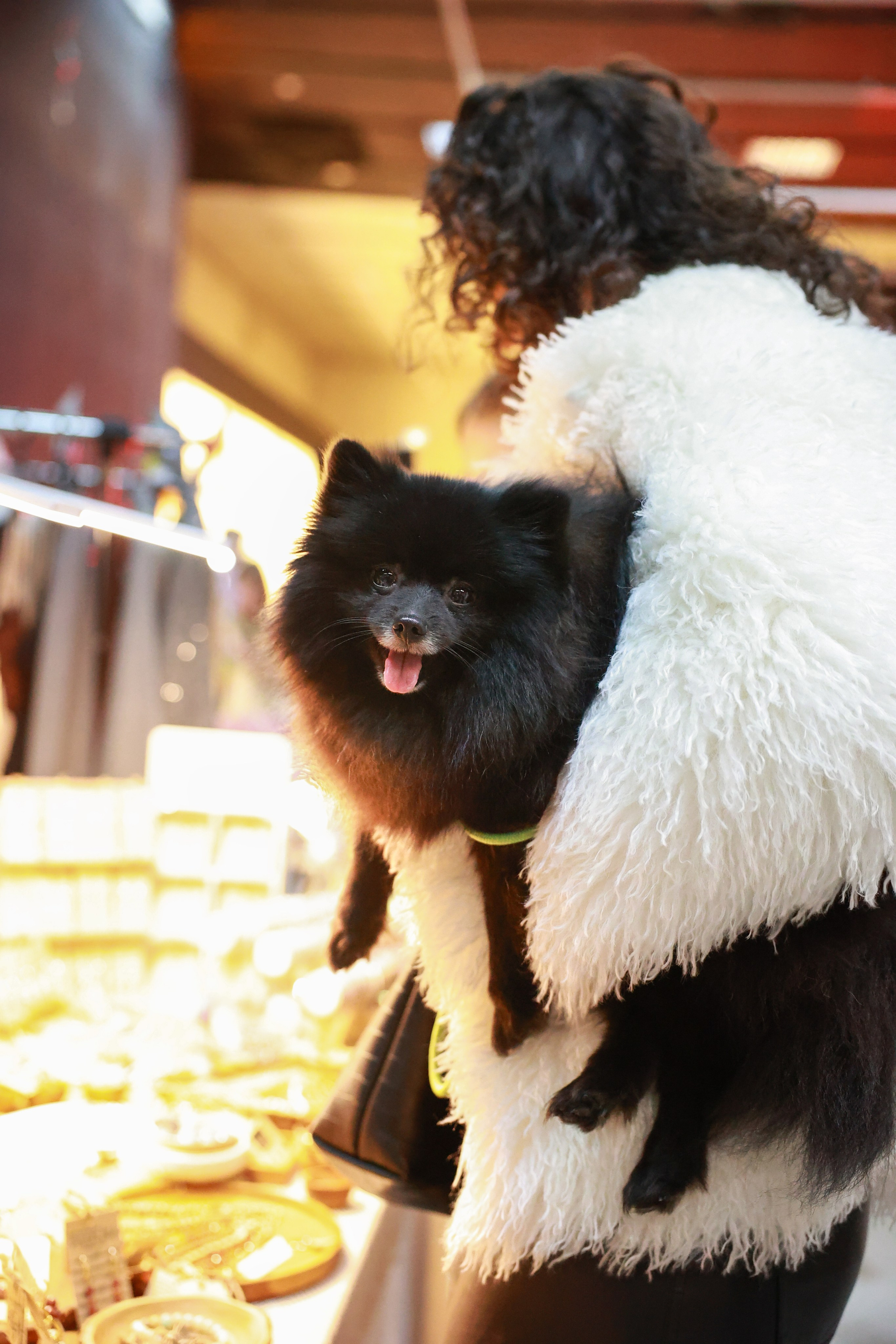 8–9 ноября 2025 в Музее Москвы / фото Саша Жукова. Фотоотчеты «Ламбада-маркета»