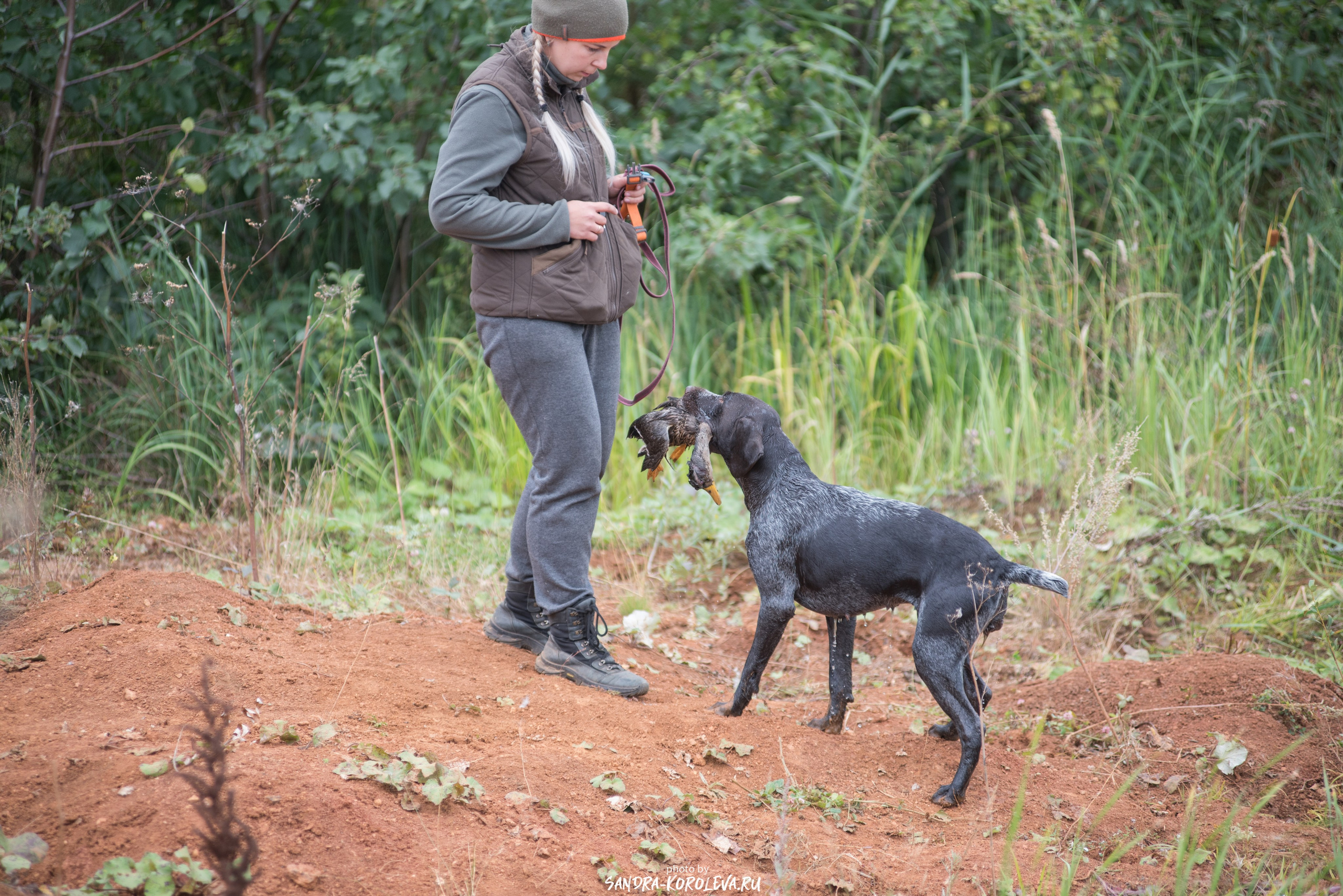 Рабочие дипломы. Главная