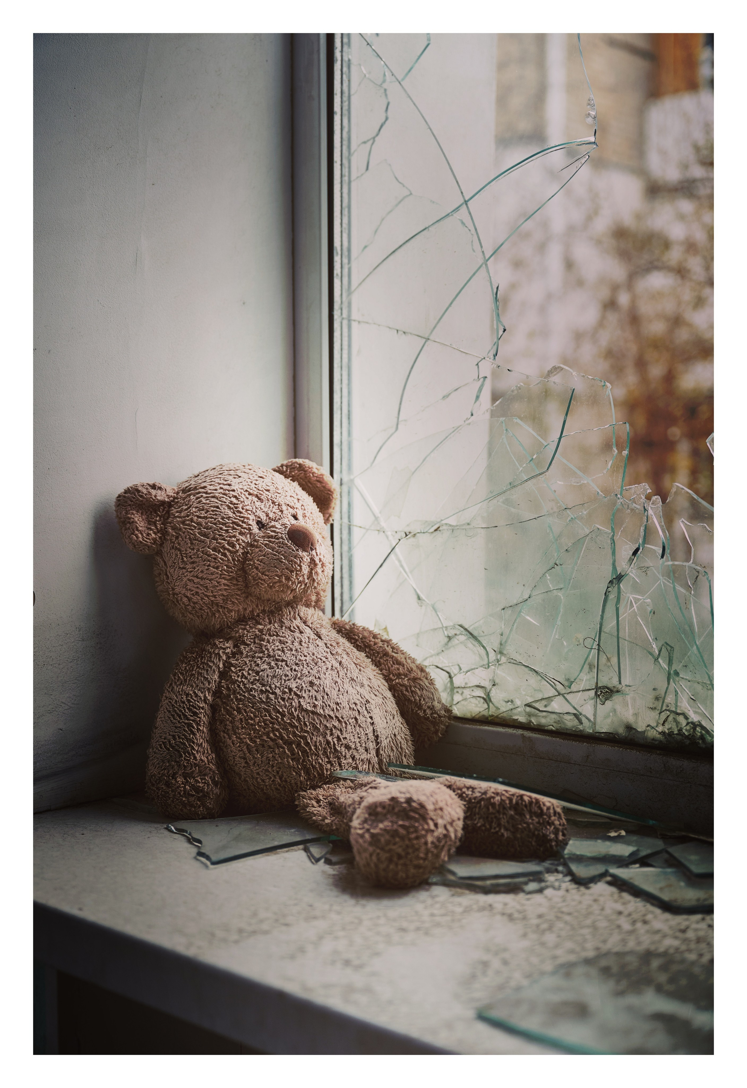 Фотопринты А3. Фотопроект «Территории»