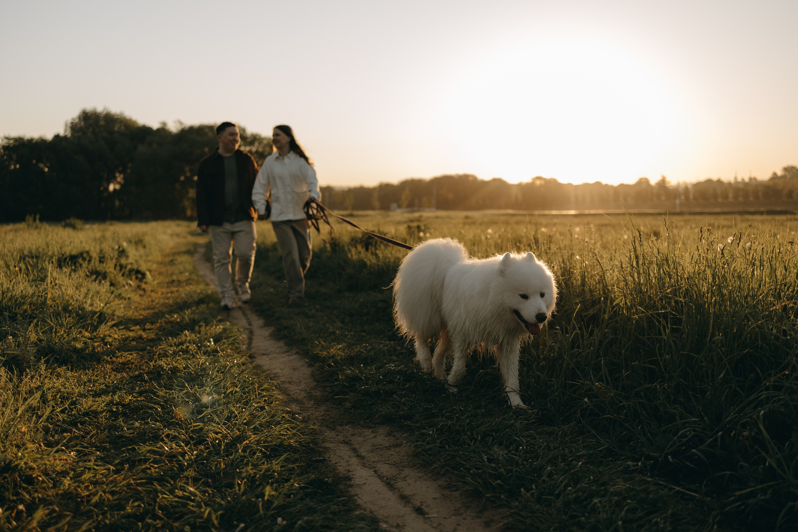Танго и его семья. Фотограф — Анималист | Санкт-Петербург